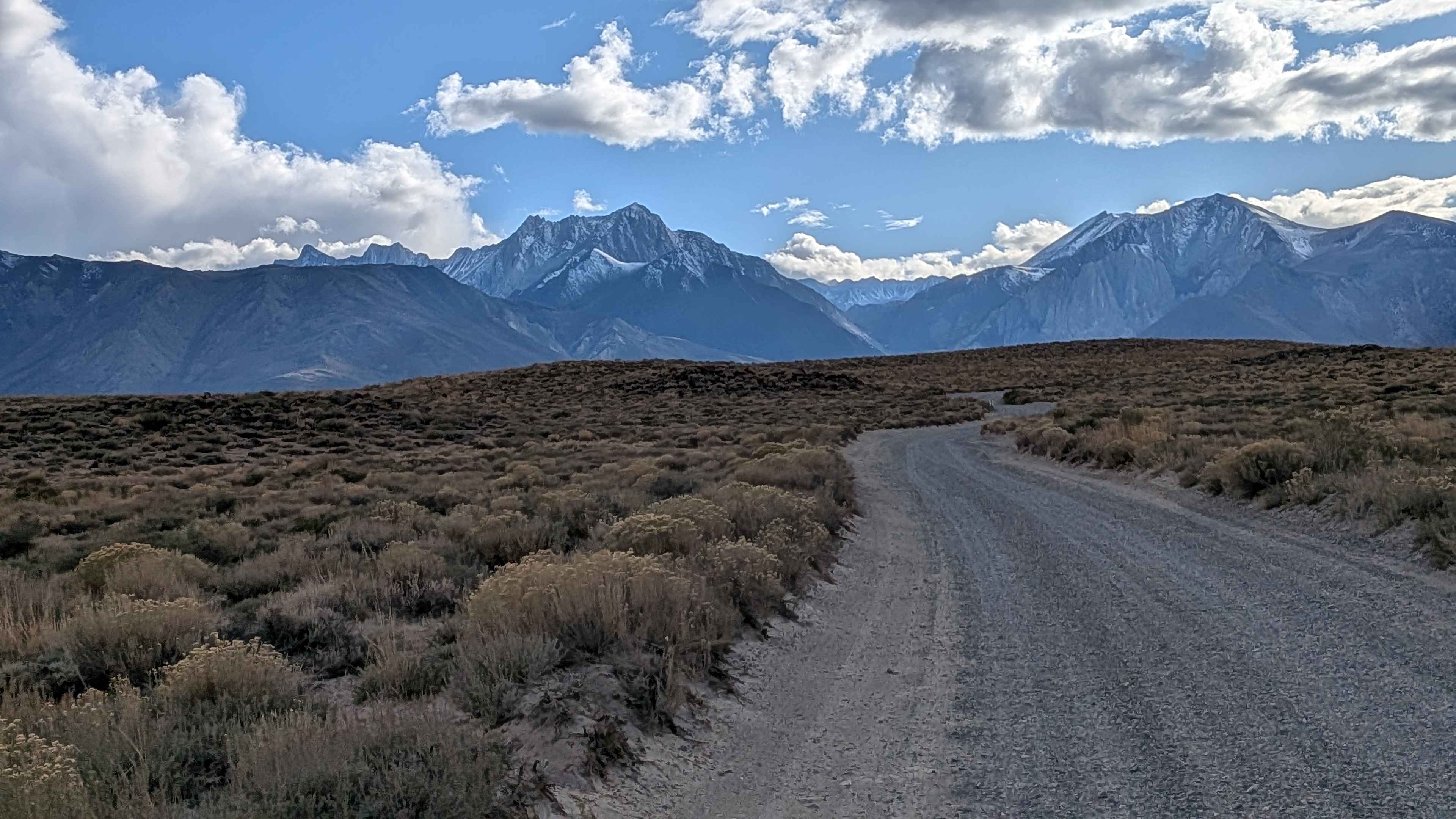 Wild Willy's Hot Springs
