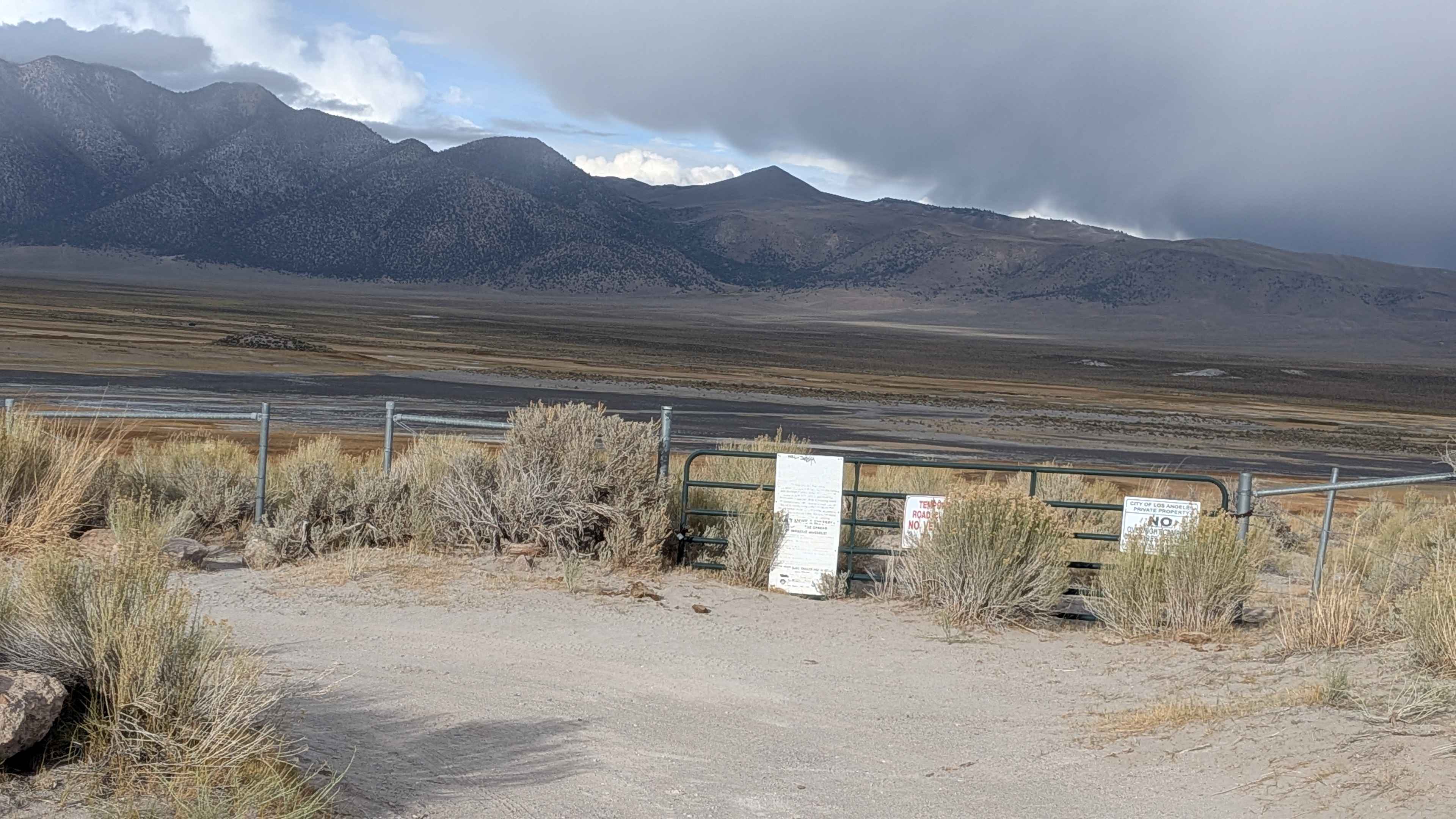 Wild Willy's Hot Springs