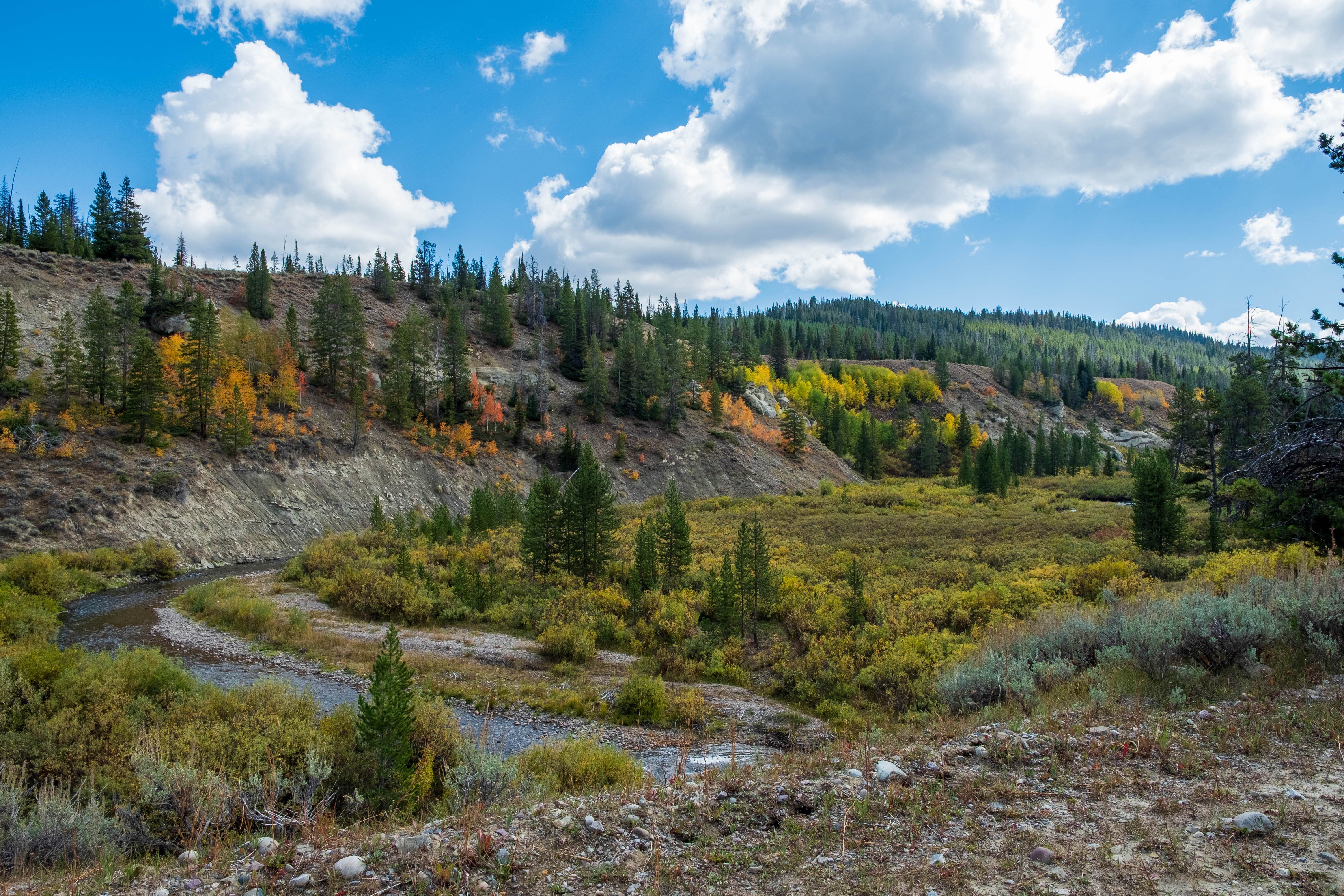 Leidy Lake Road - FS 30250