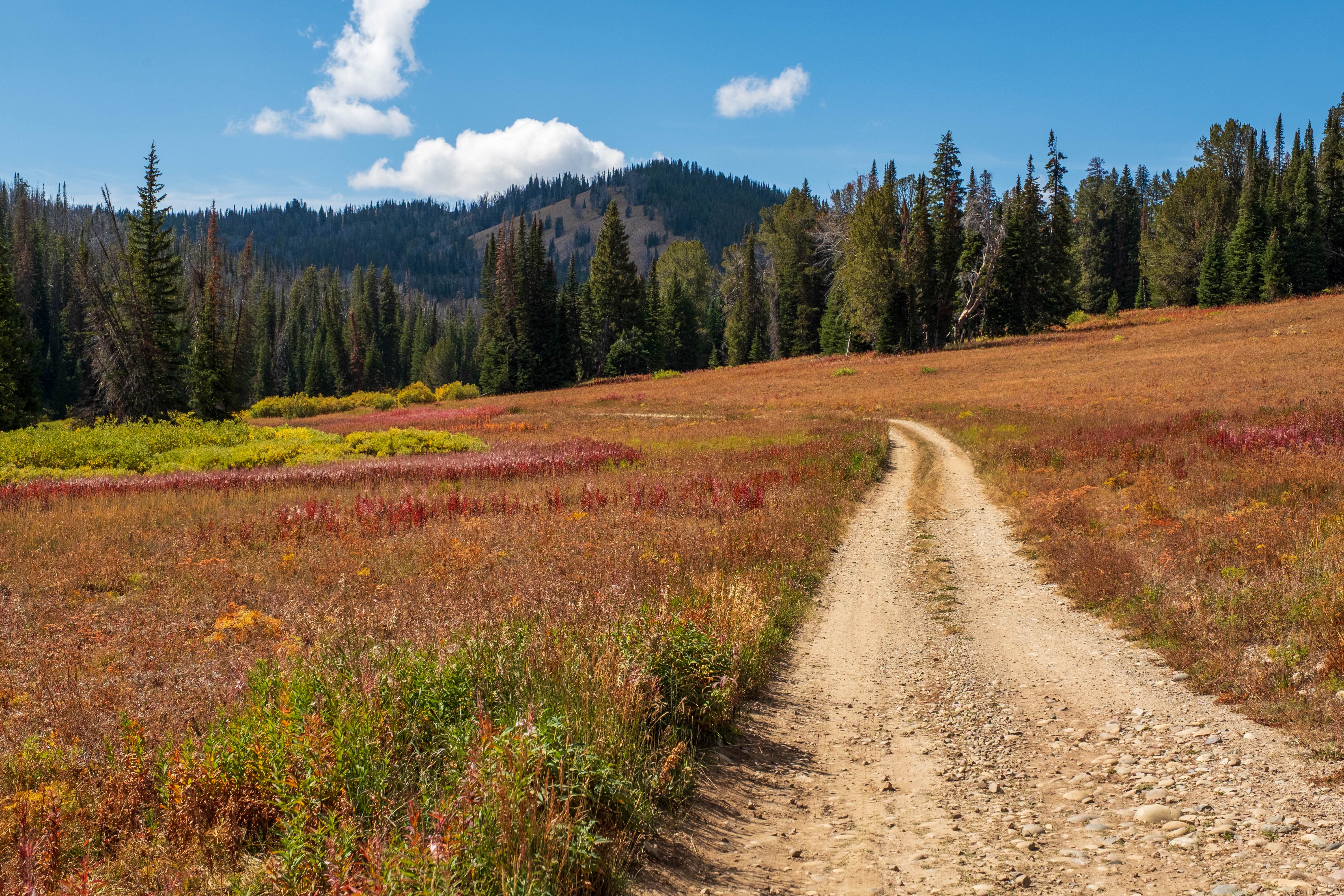 Leidy Lake Road - FS 30250