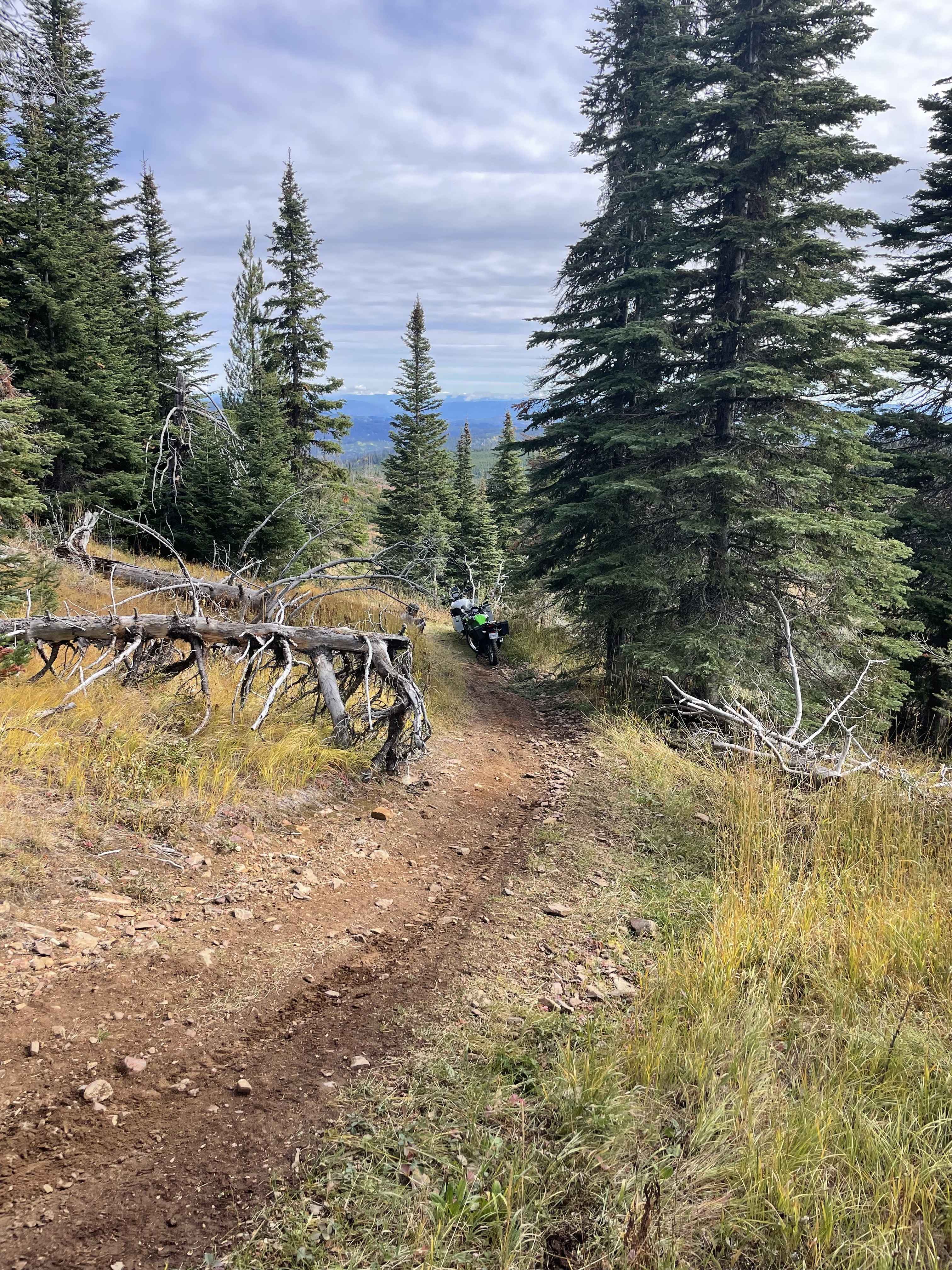 Lolo Heffley Connector