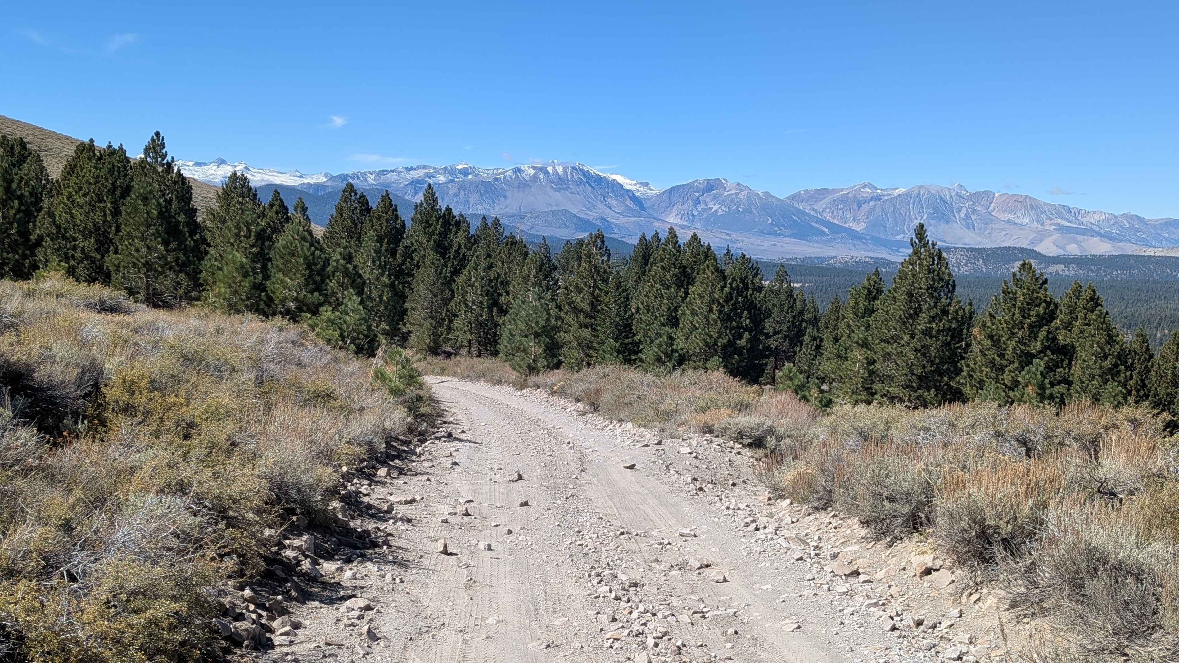 Bald Mountain - FS 32E604-SNO