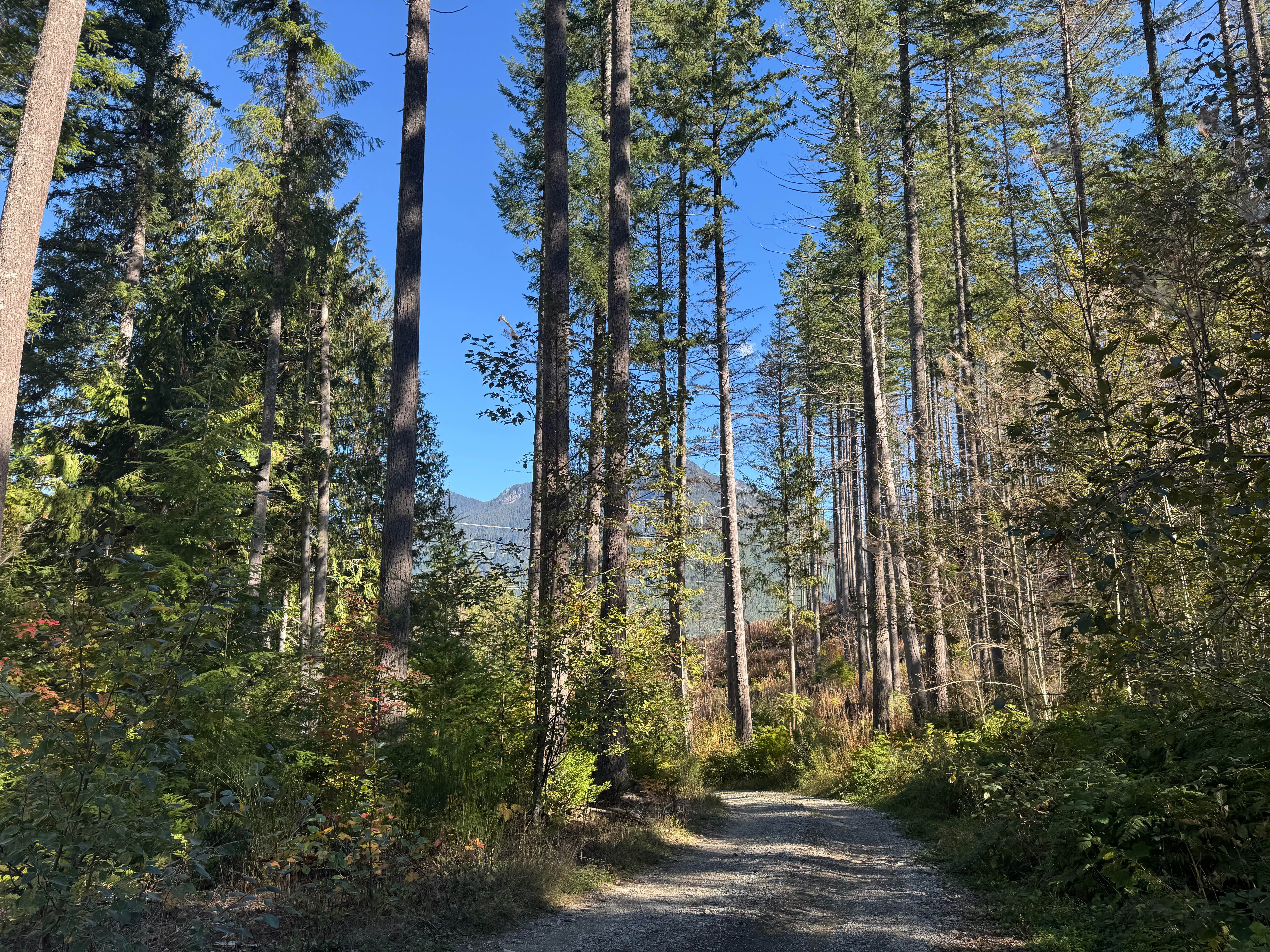 Klinger Road - FS 2602