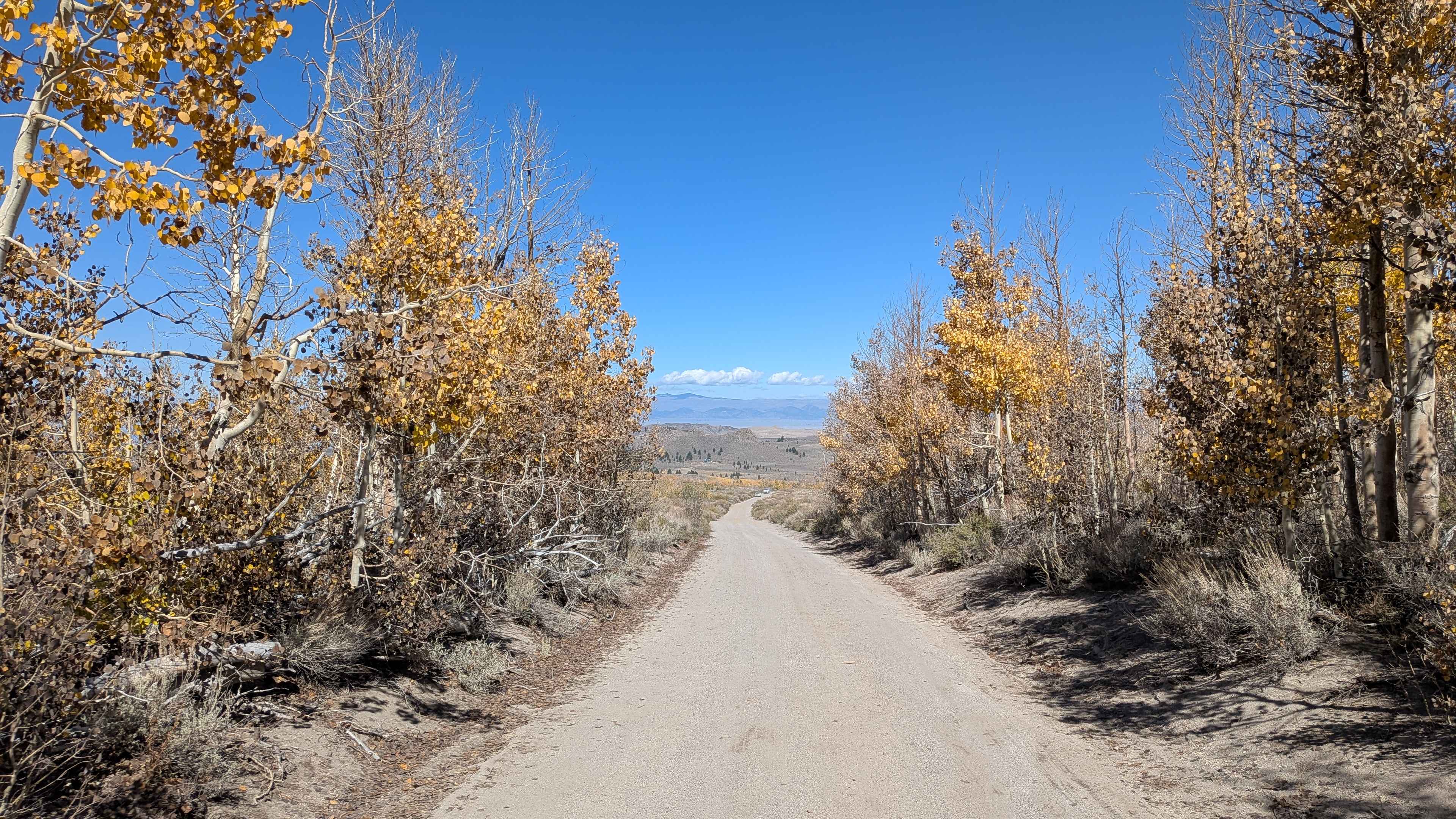 Sage Hen Meadows Road