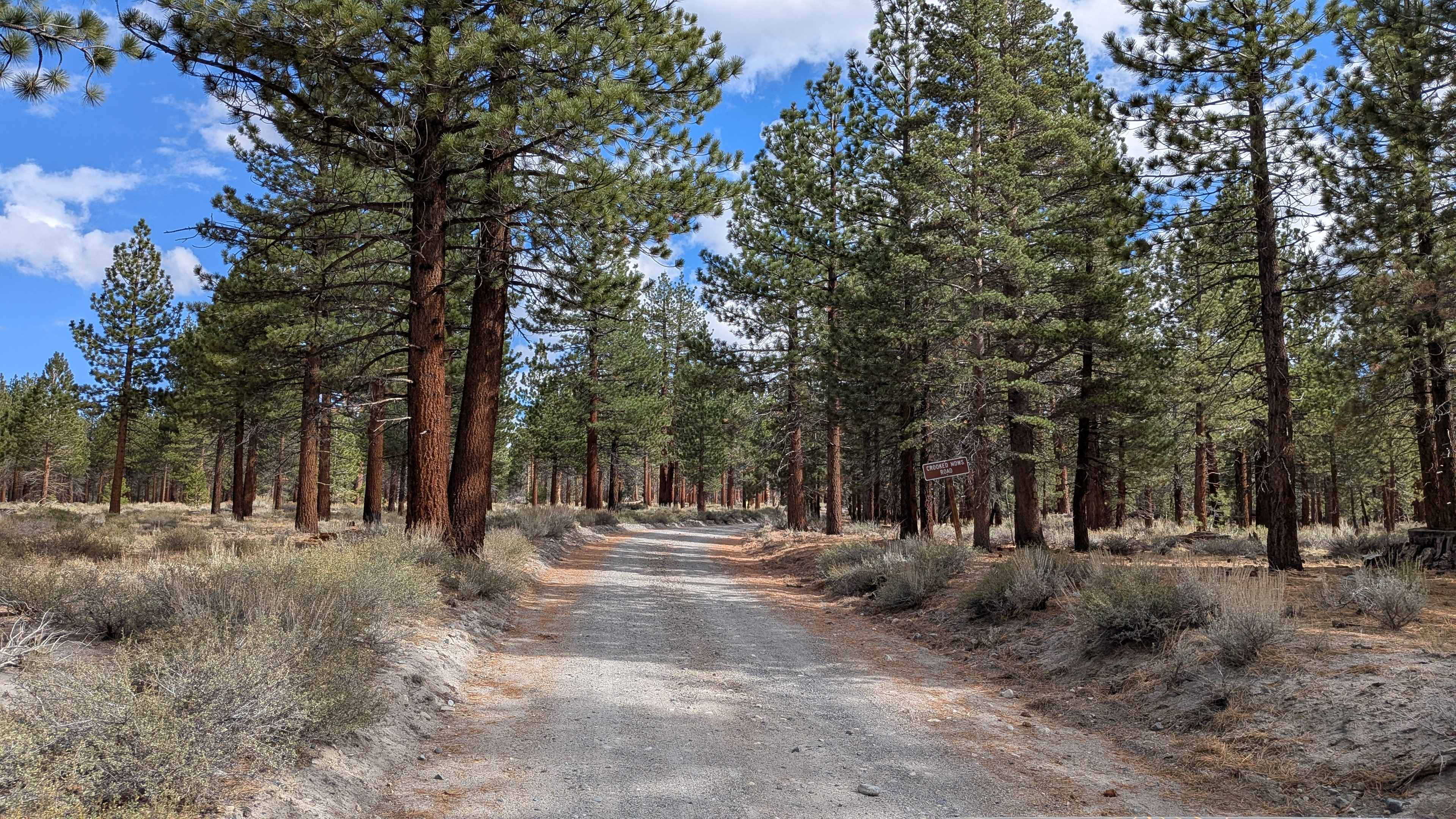 Crooked Meadow Road West