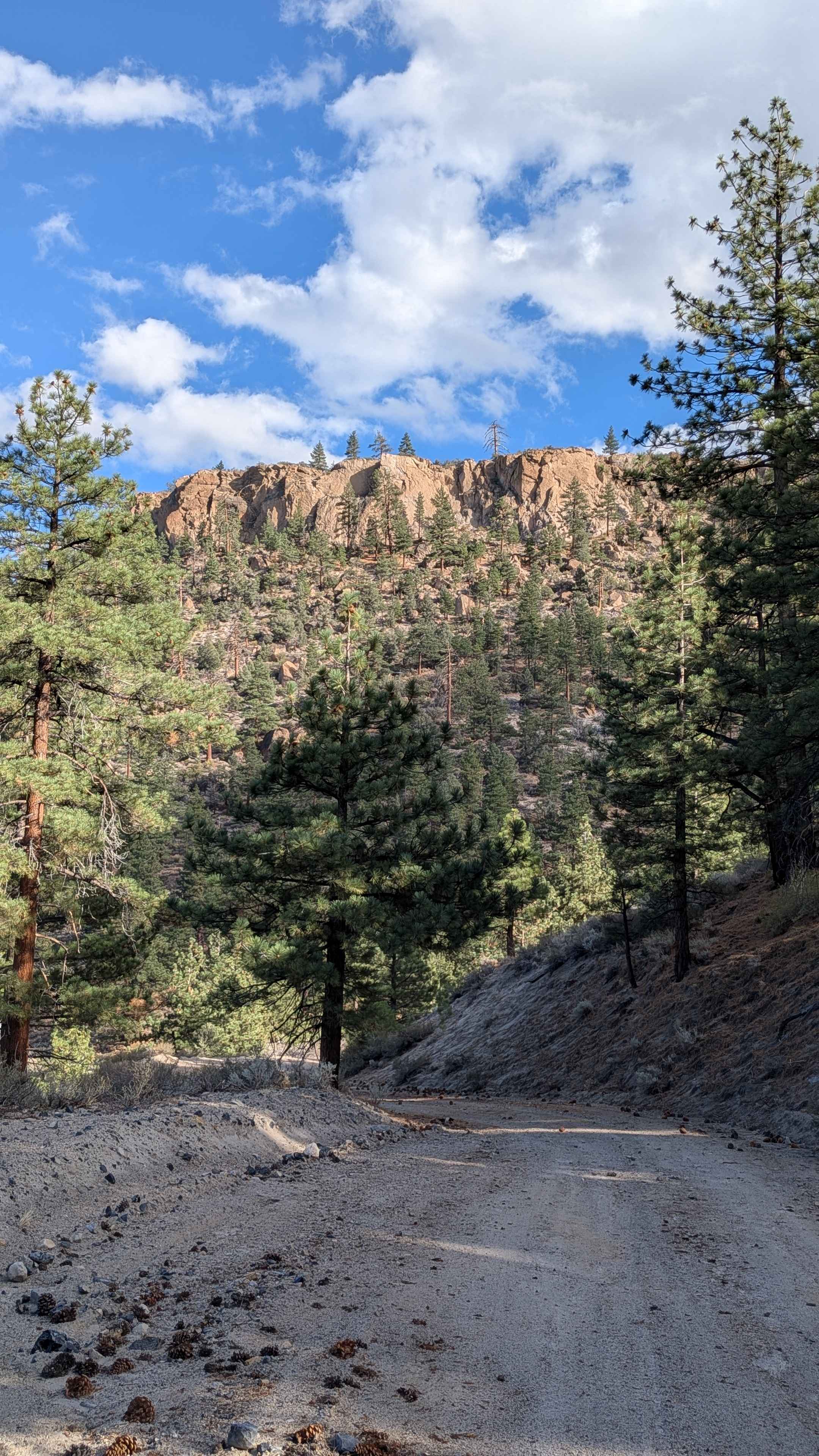 Crooked Meadow Road East