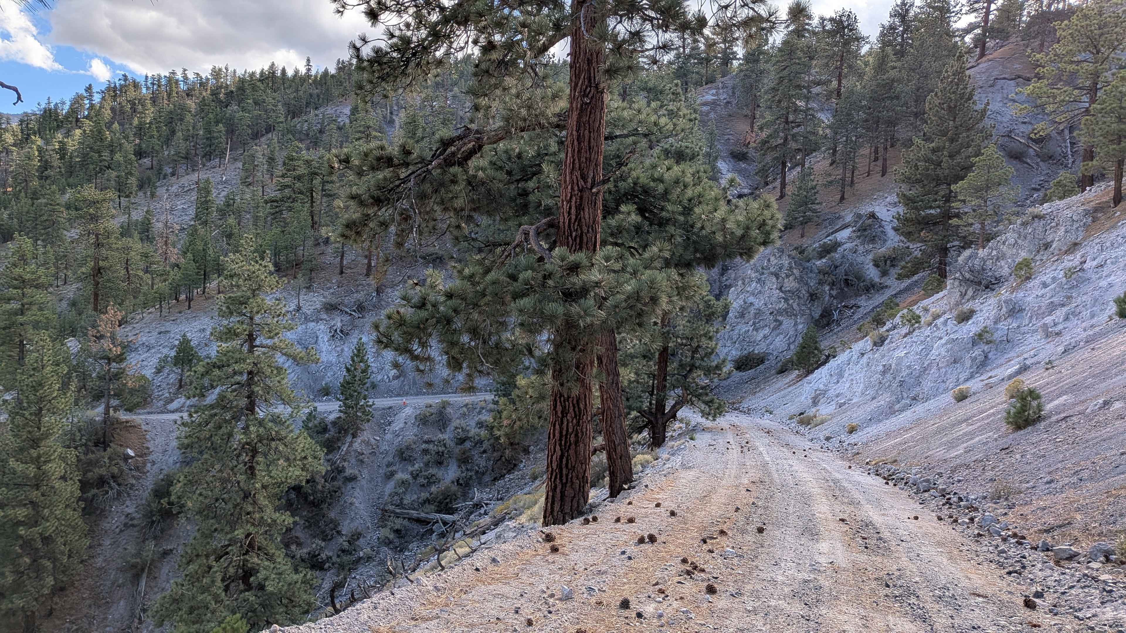 Crooked Meadow Road East