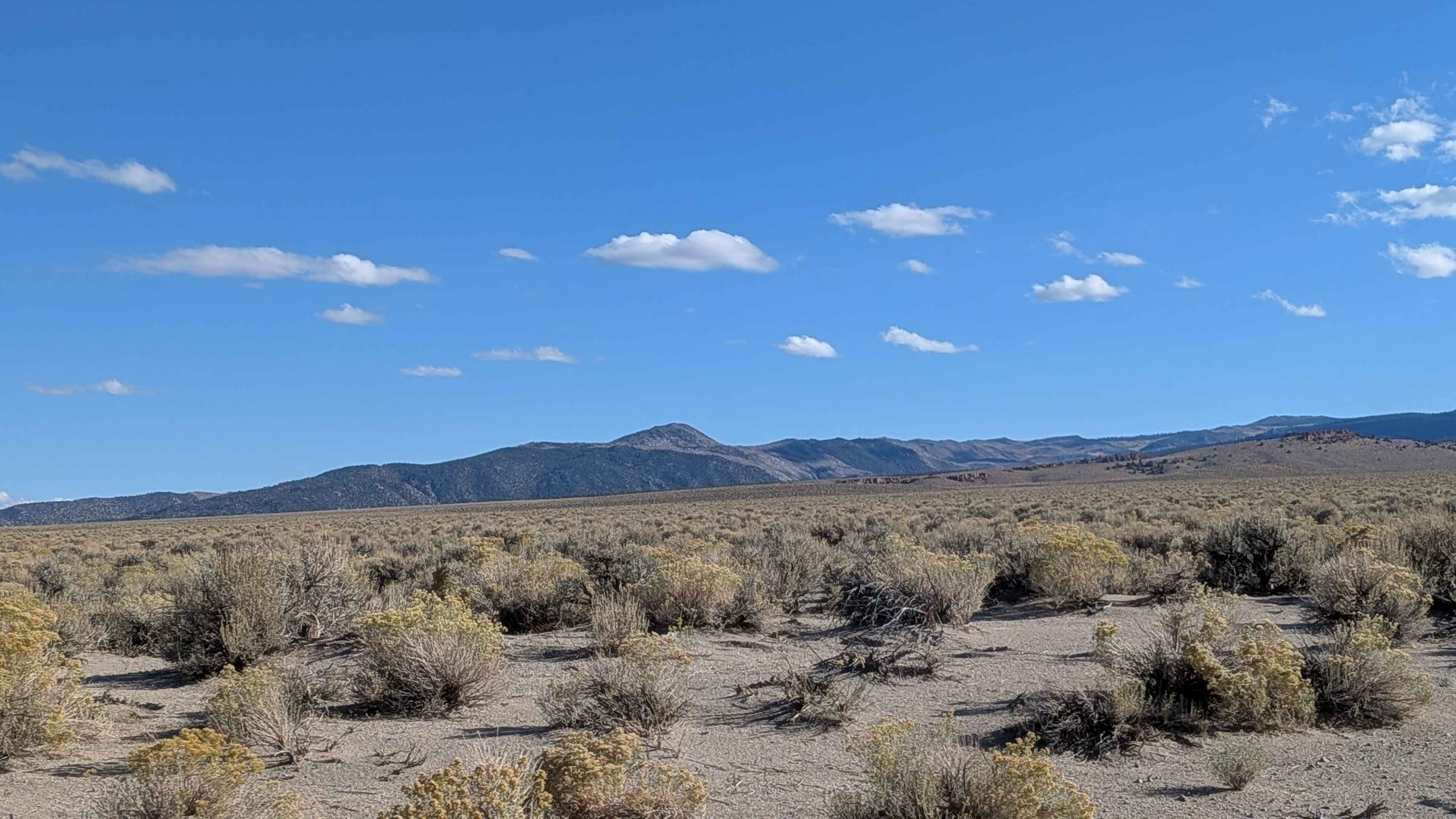 Adobe Ranch Road - FS 1N17