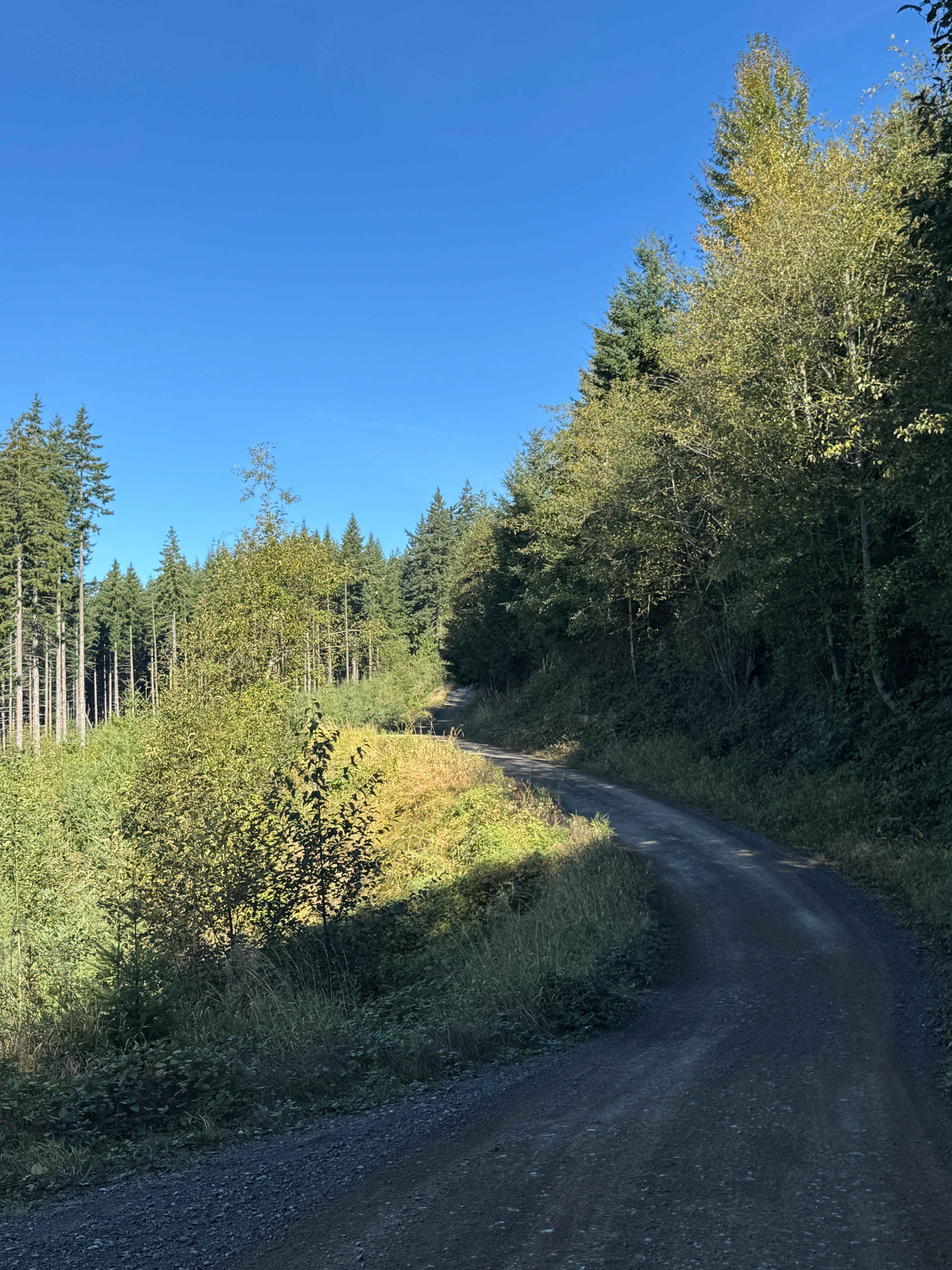 Walker Valley Mainline