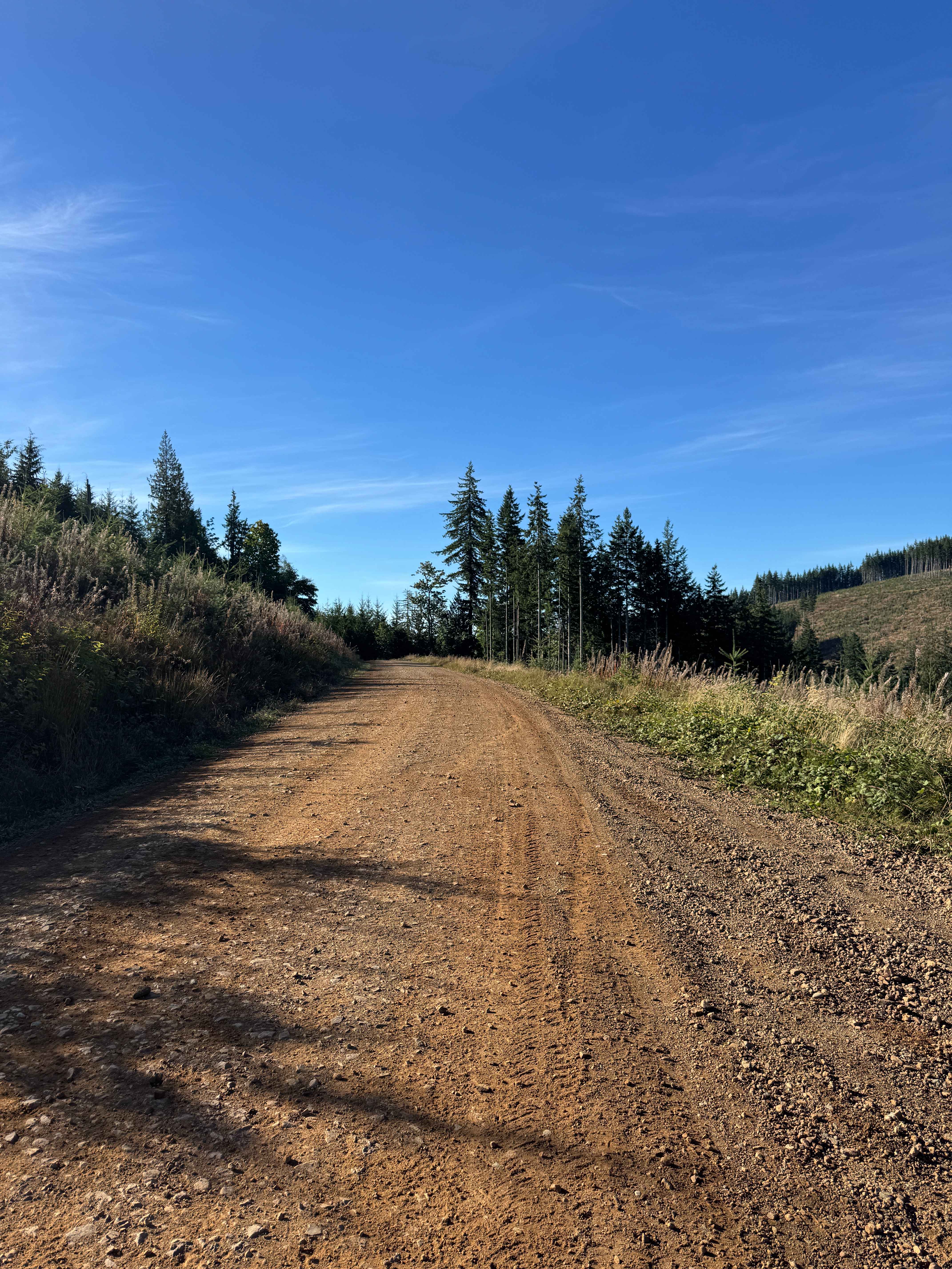 Walker Valley Mainline