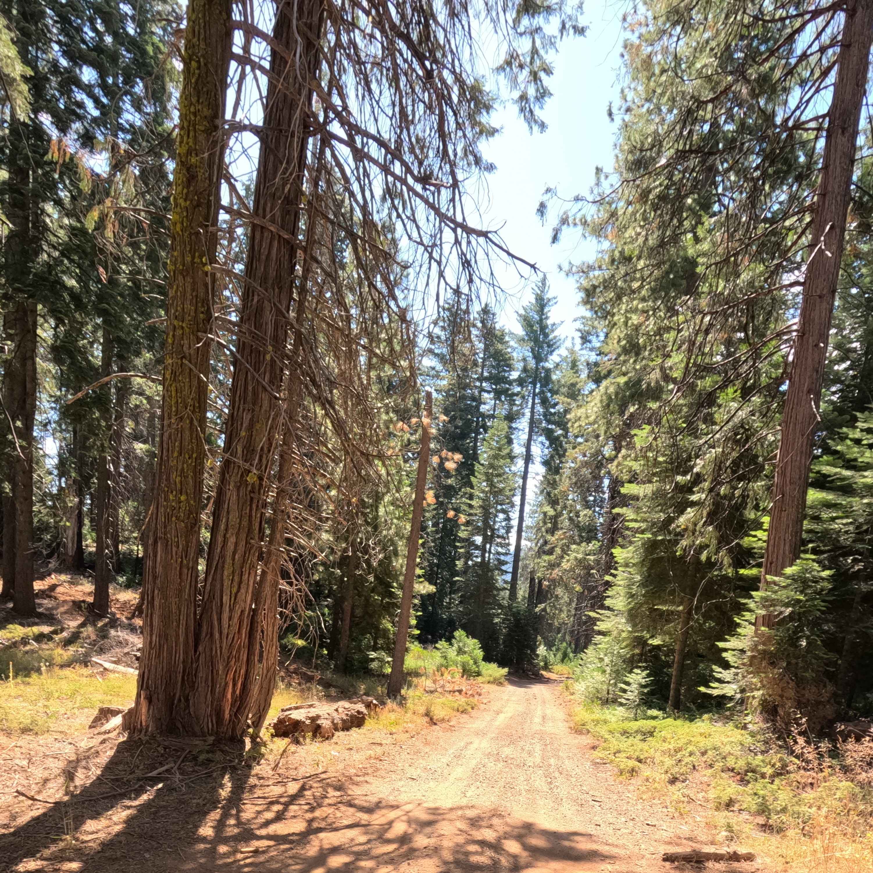 Battalion - FS 21E252