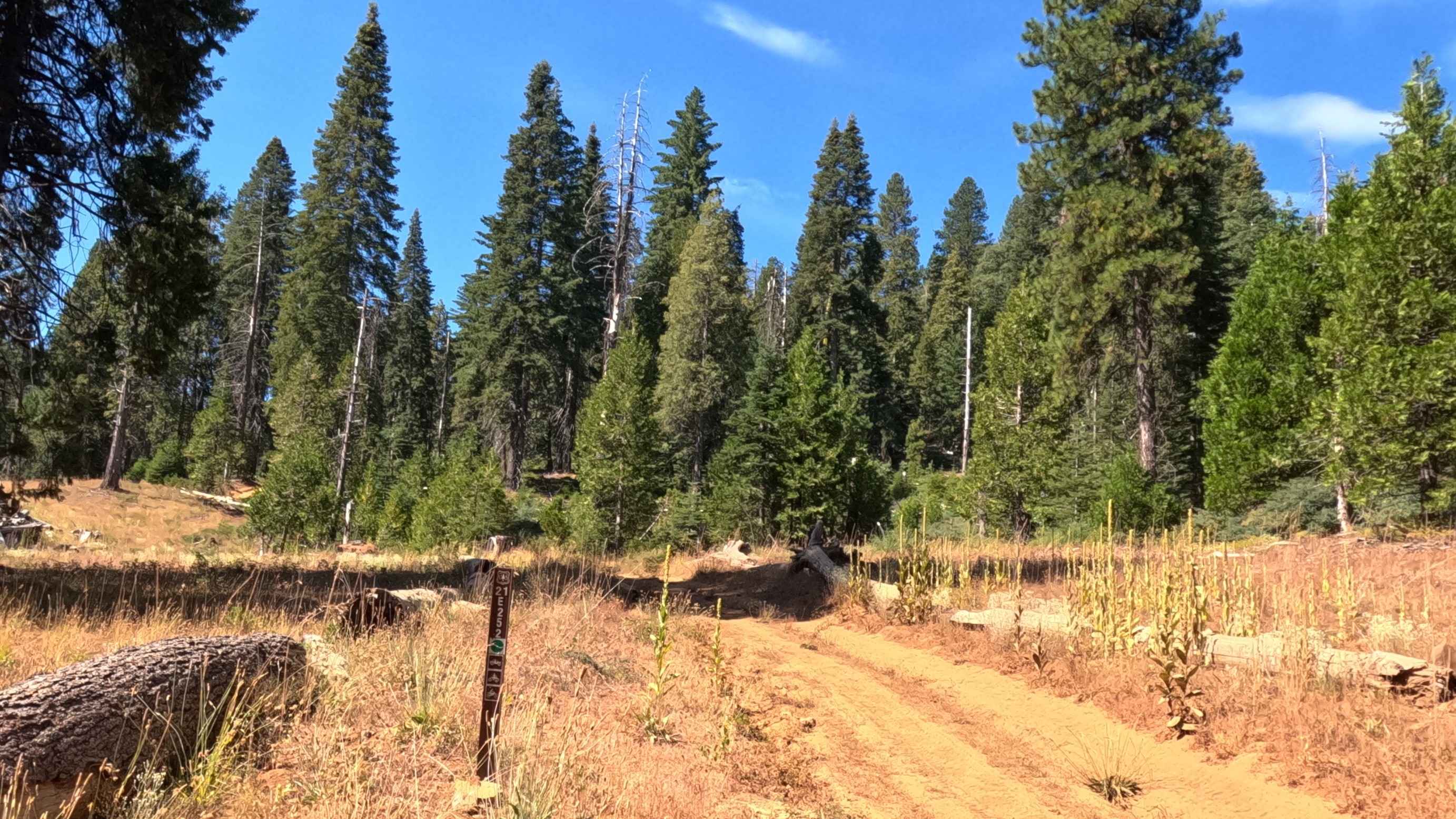 Battalion - FS 21E252