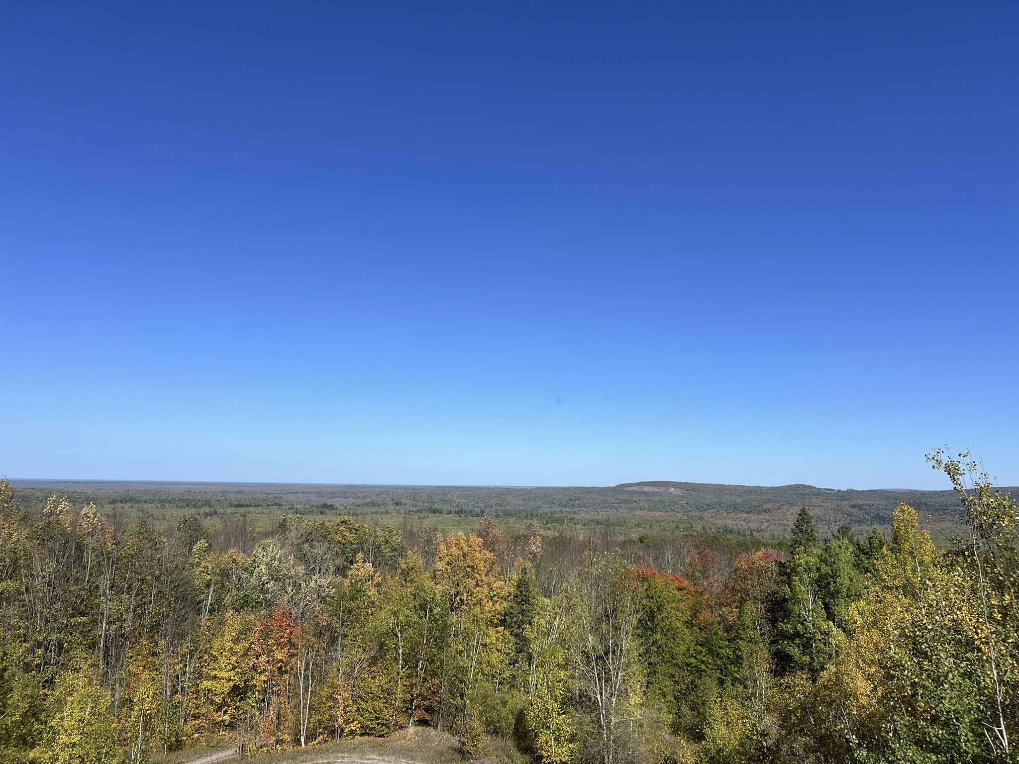 Trail P / Victoria Road