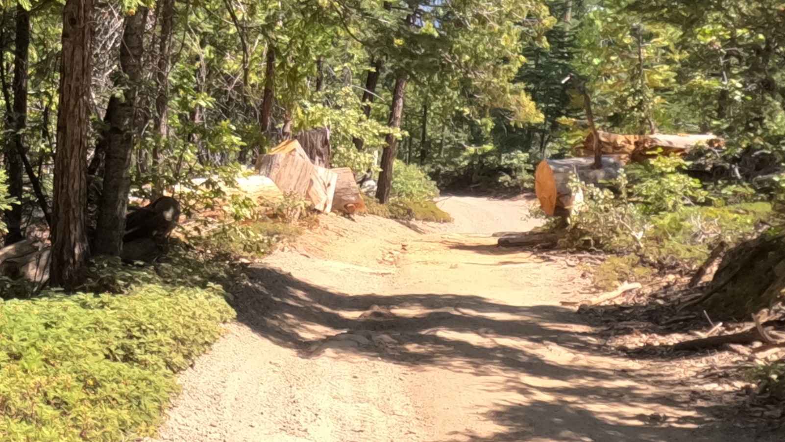 Wolf Leap - FS 6S009