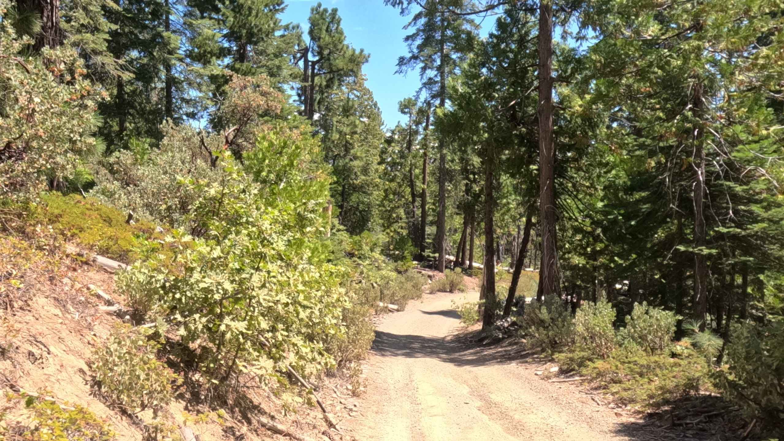 Wolf Leap - FS 6S009