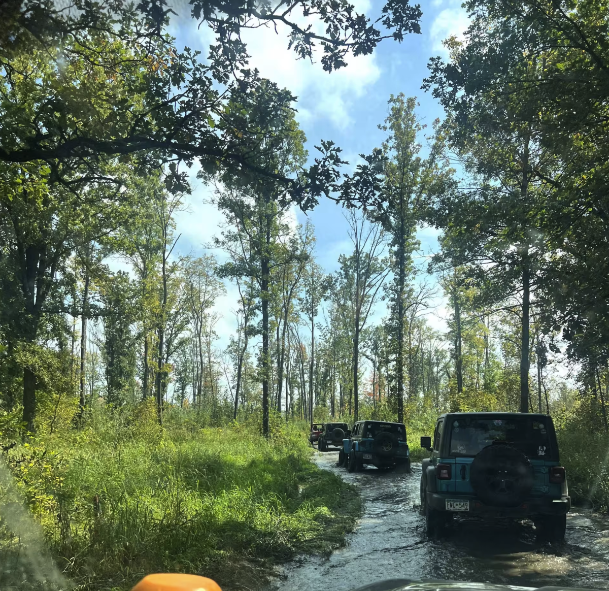 Mille Lacs Core Trail