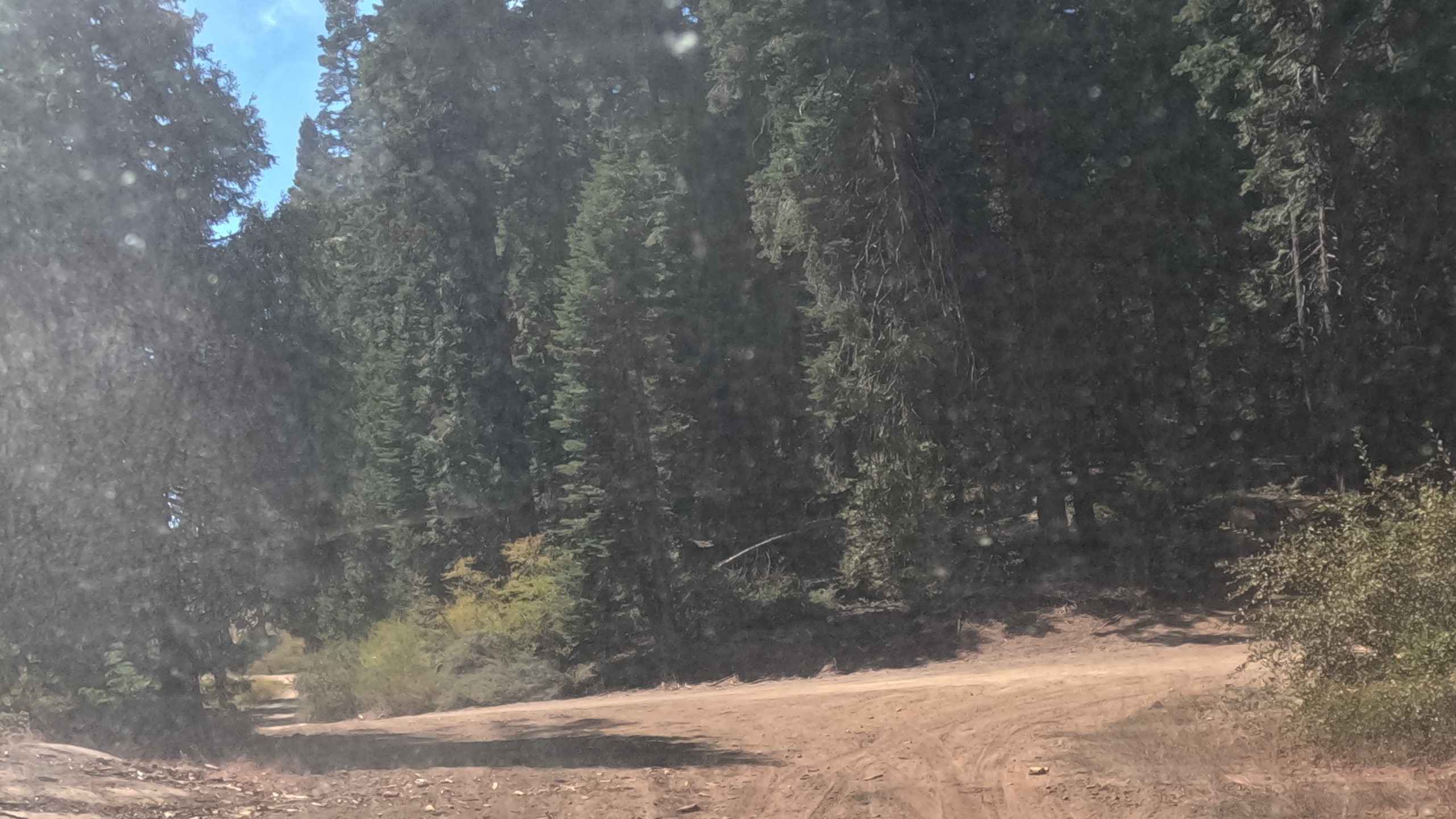 Speckerman Fuel Break - FS 5S095