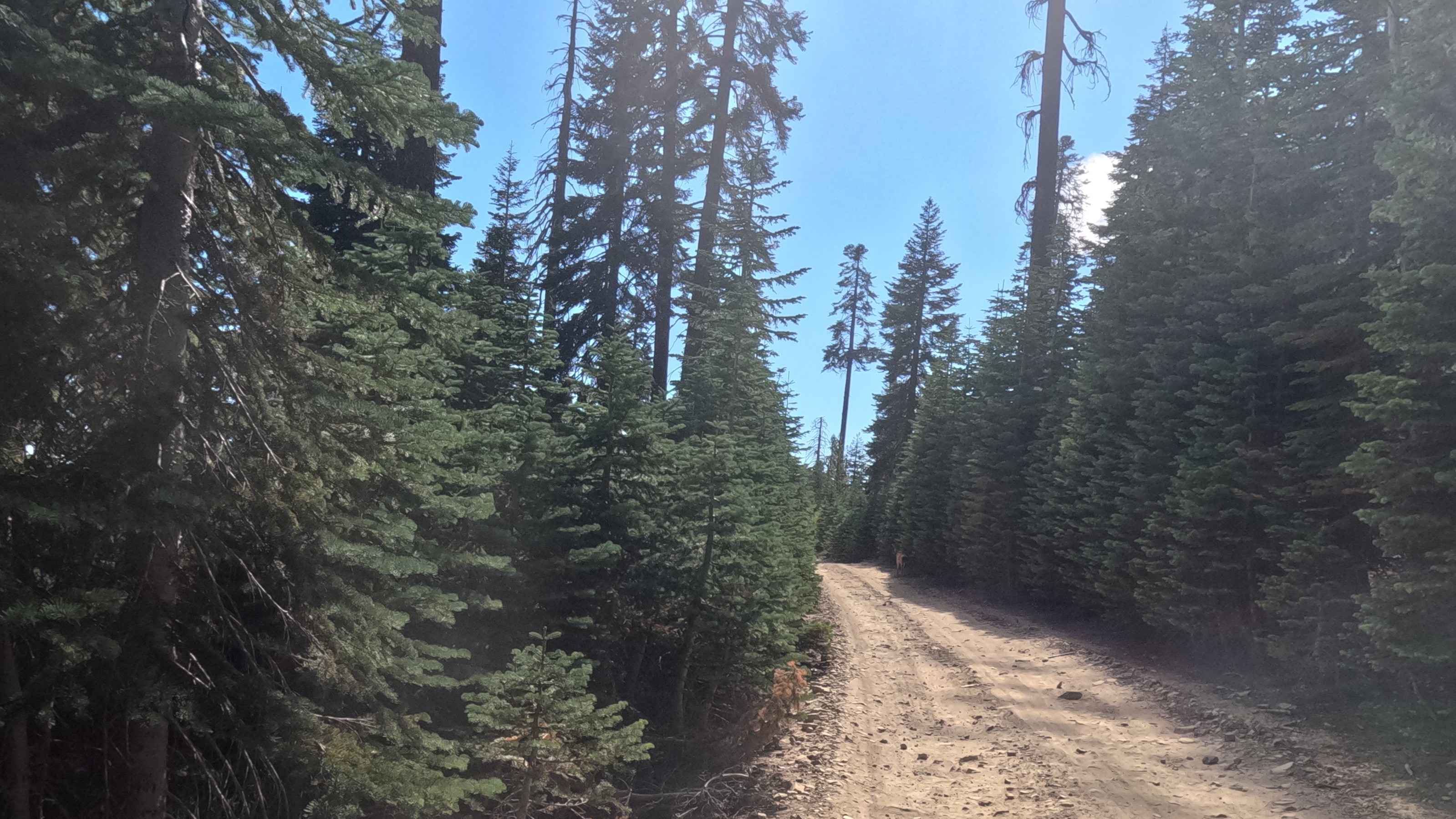 Iron Mountain - FS 5S092