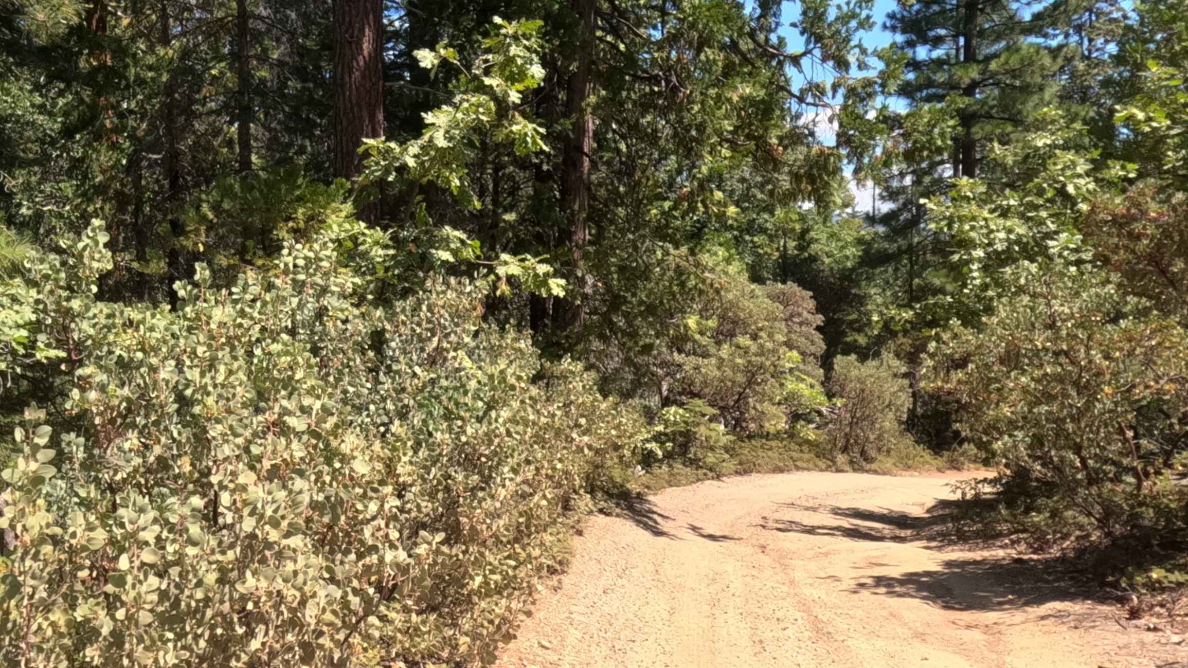 Ten Mile Spur - FS 5S062