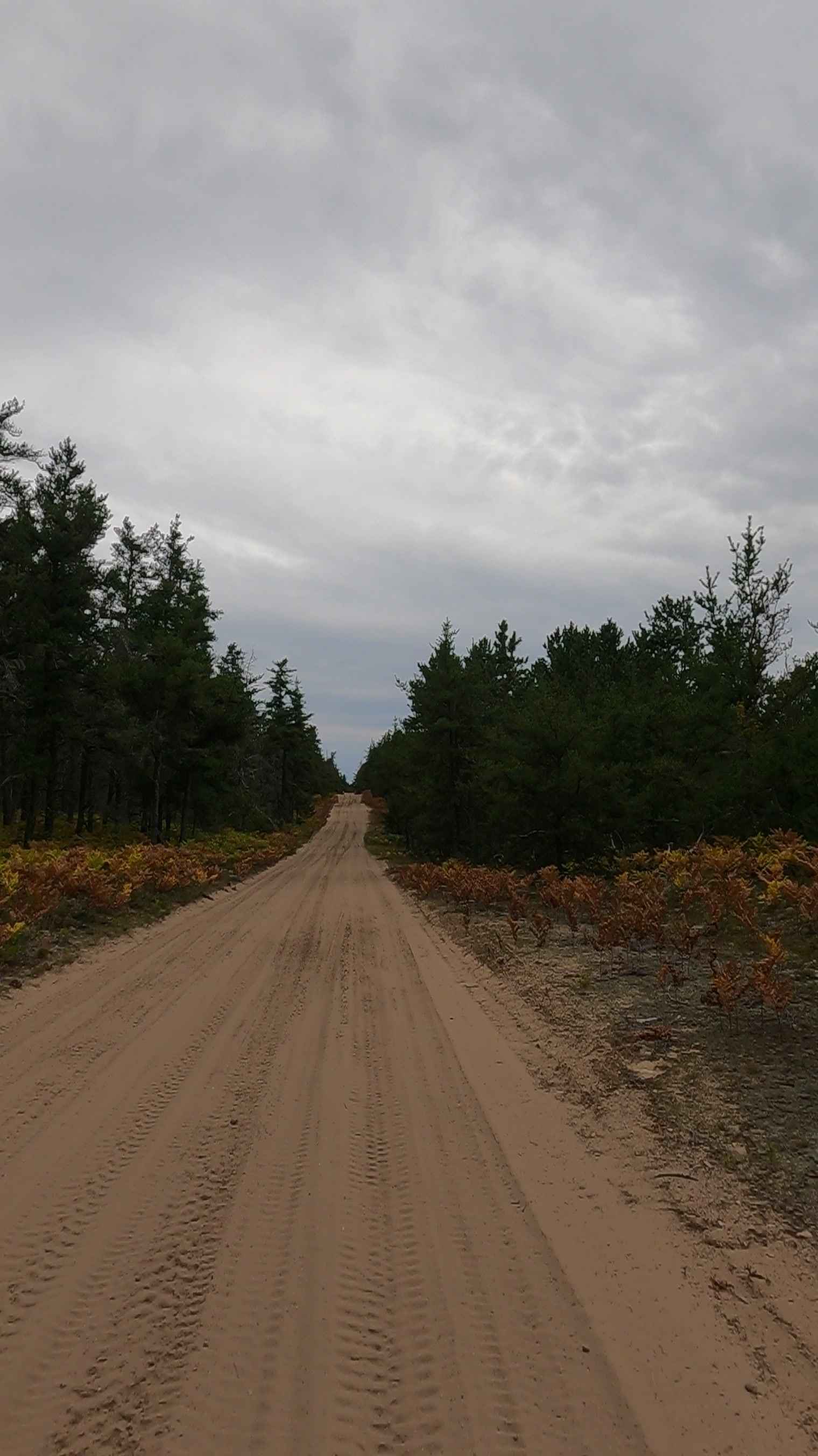 Middle Town - FS 3018