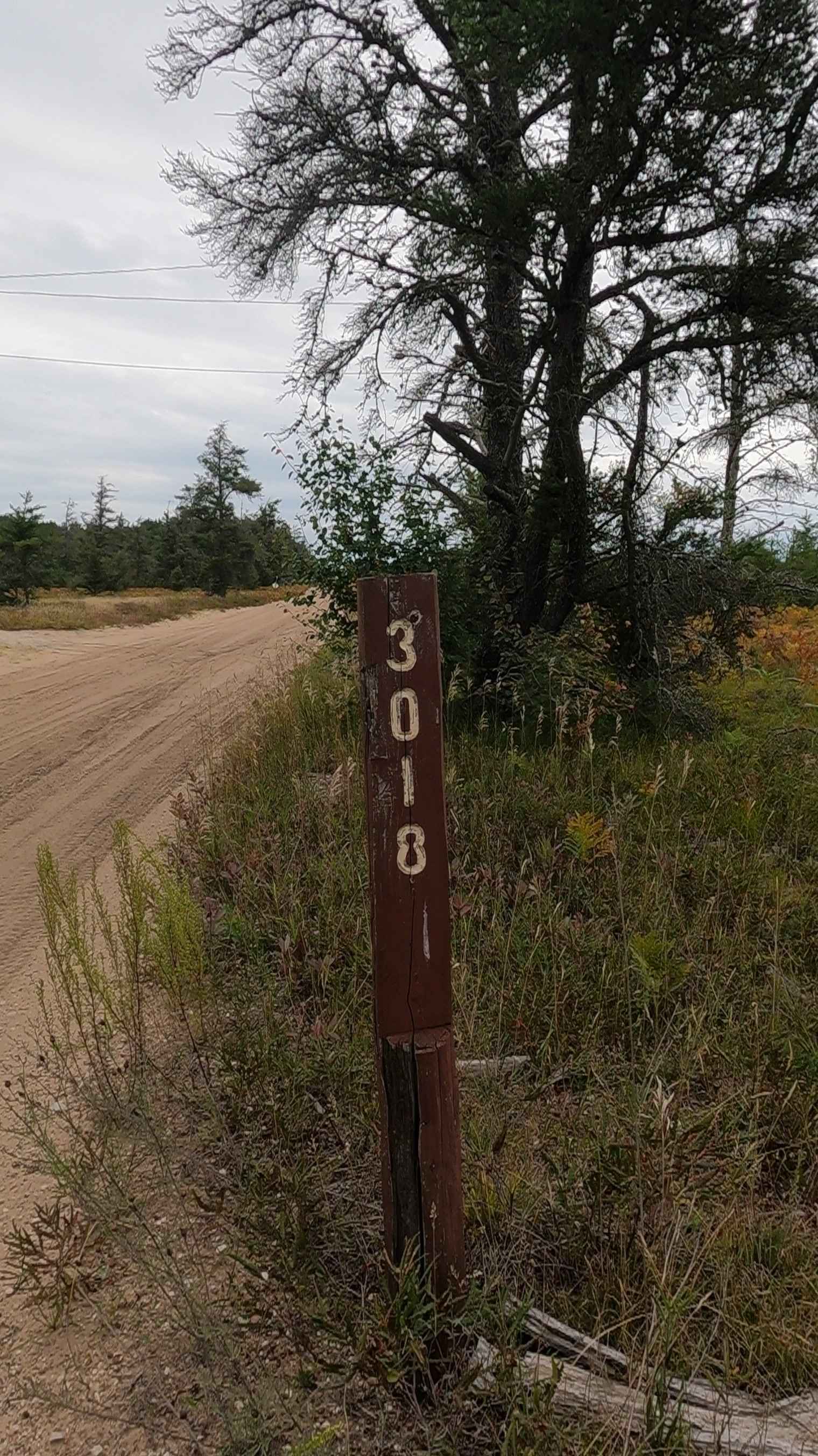 Middle Town - FS 3018