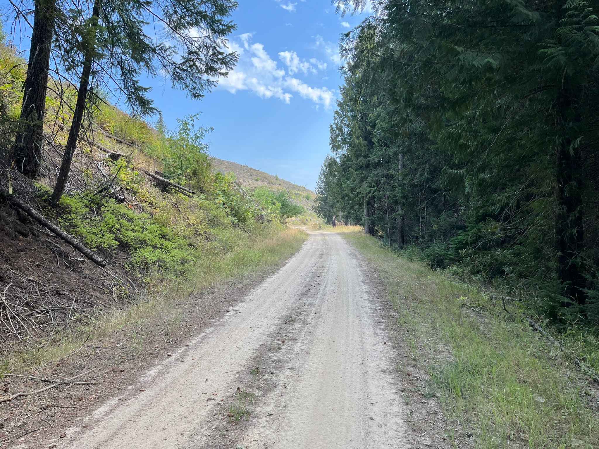 Chelsey Creek - FS 1960