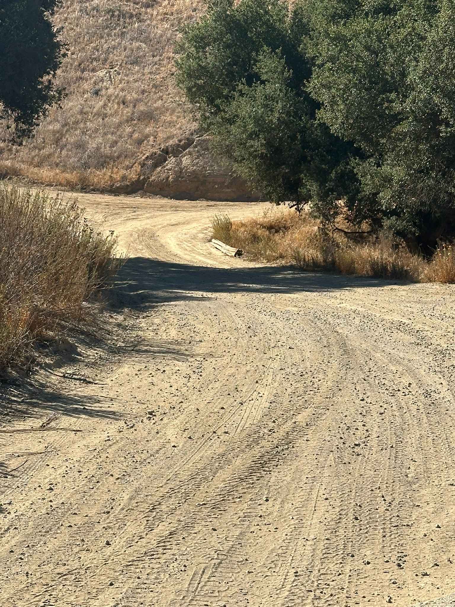 Lower City Highline Road