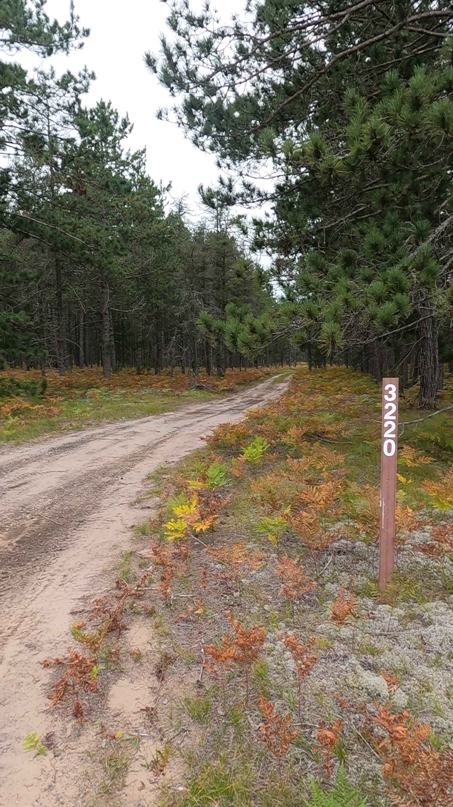 Grouse Track - FSR 3220