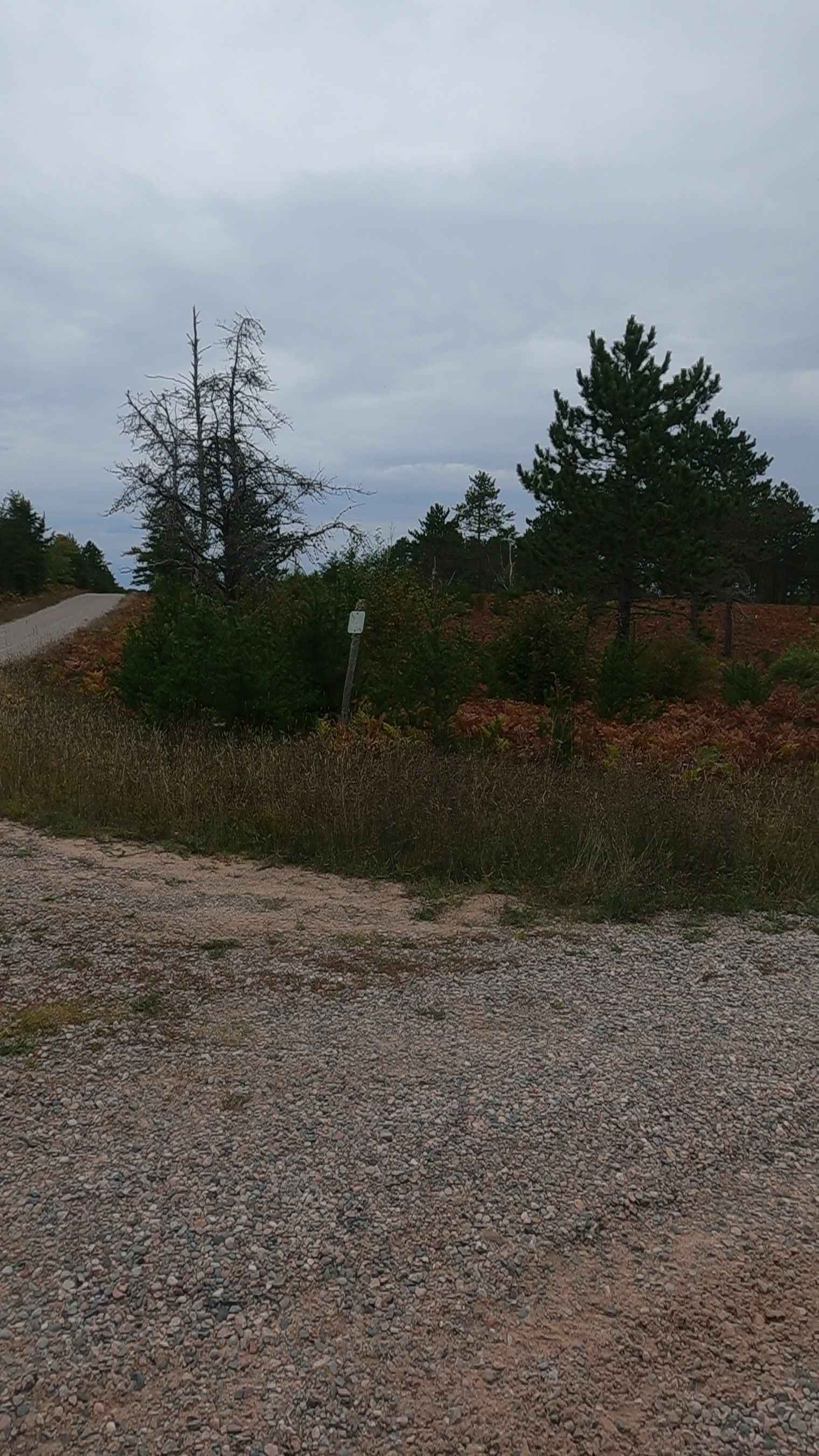 Flat Land - FSR 3036