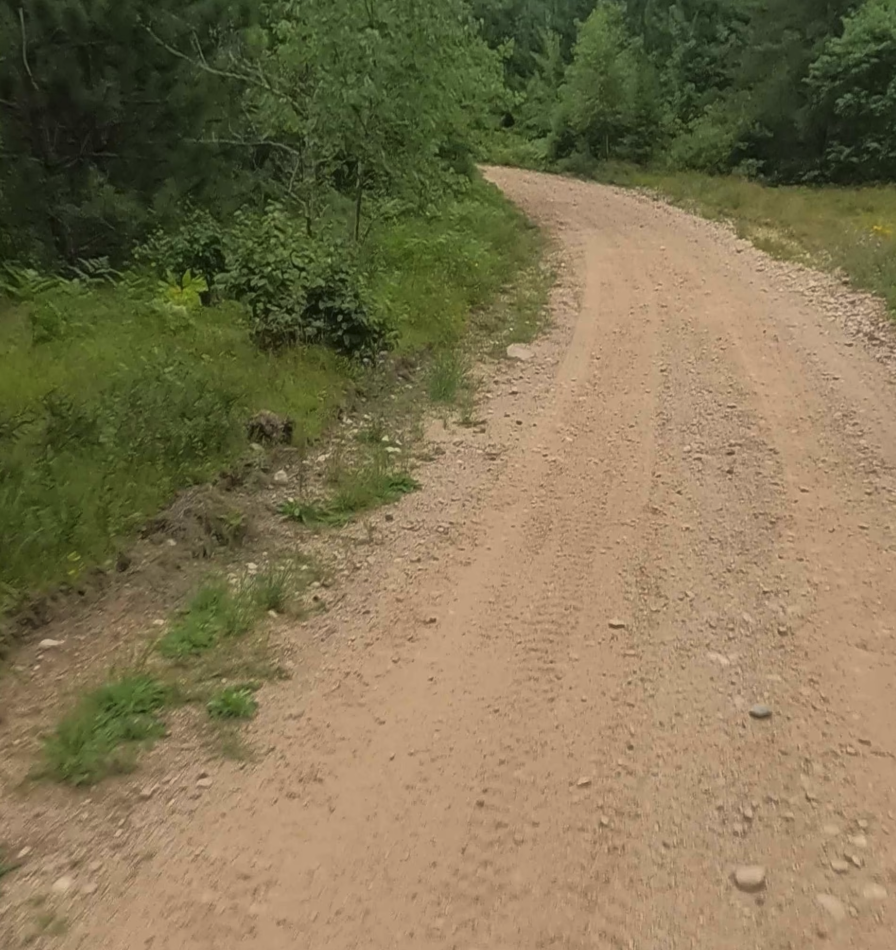 ORV Route C- Gwinn Portion