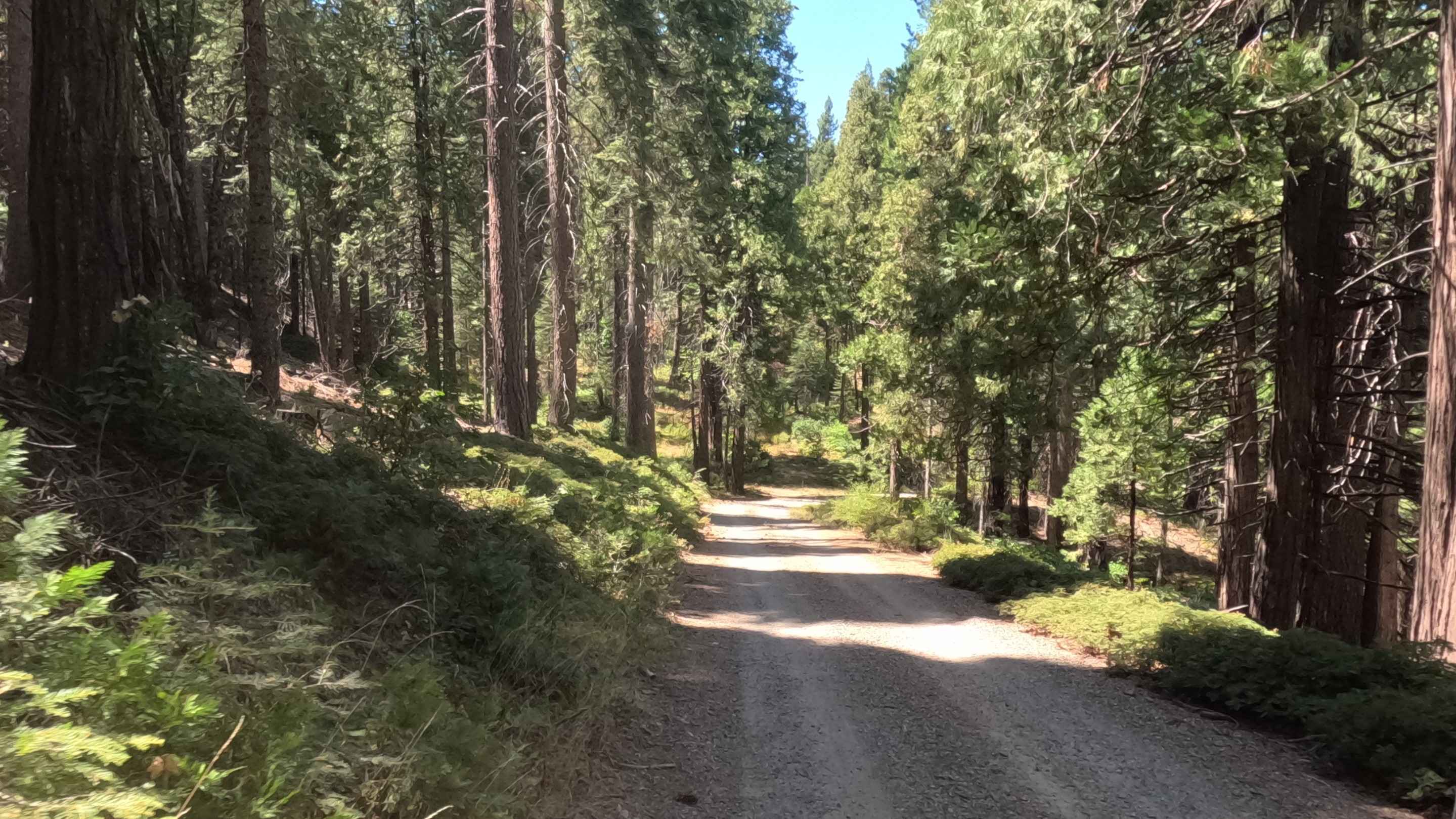 Lower Speckerman Fire - FS 5S017