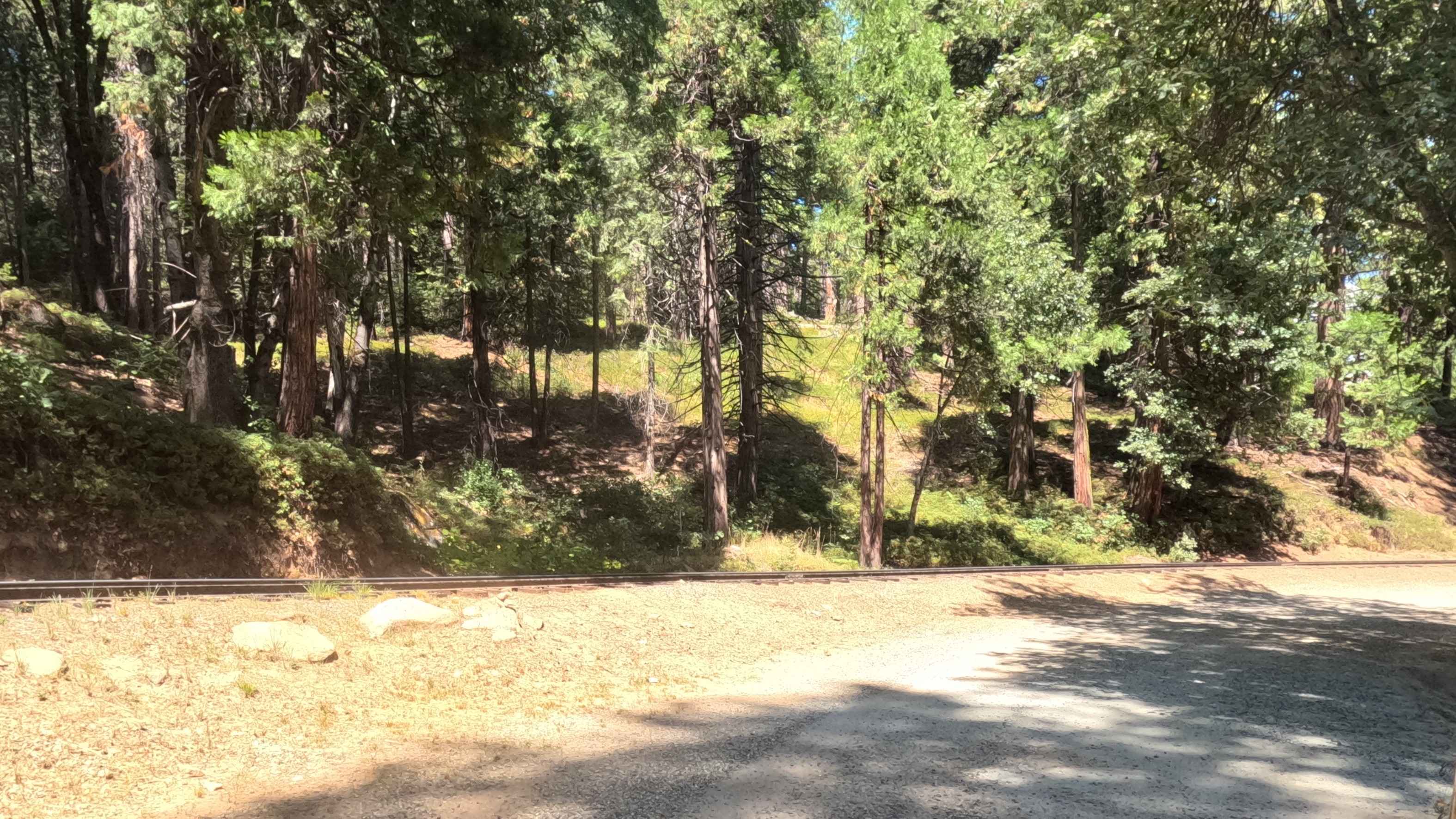 Lower Speckerman Fire - FS 5S017