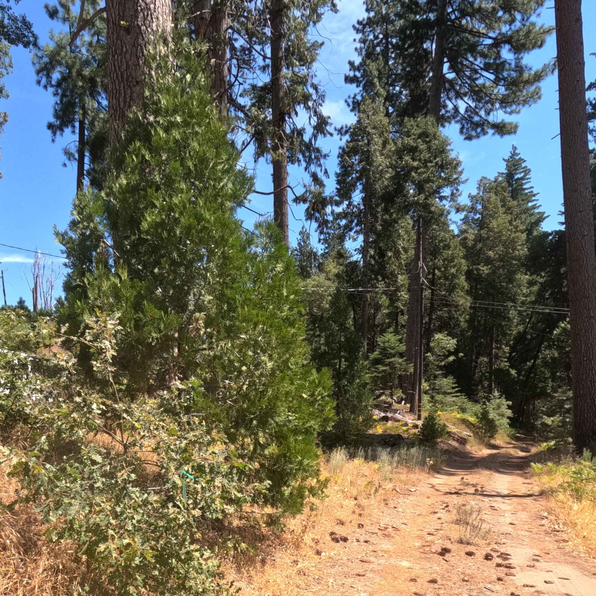 Westfall Tie - FS 5S017X