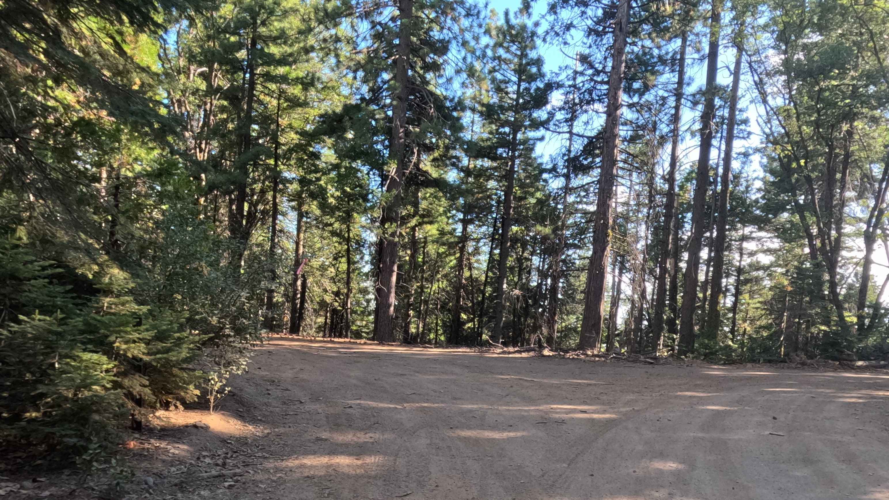 Summit Cutoff - 5S009X