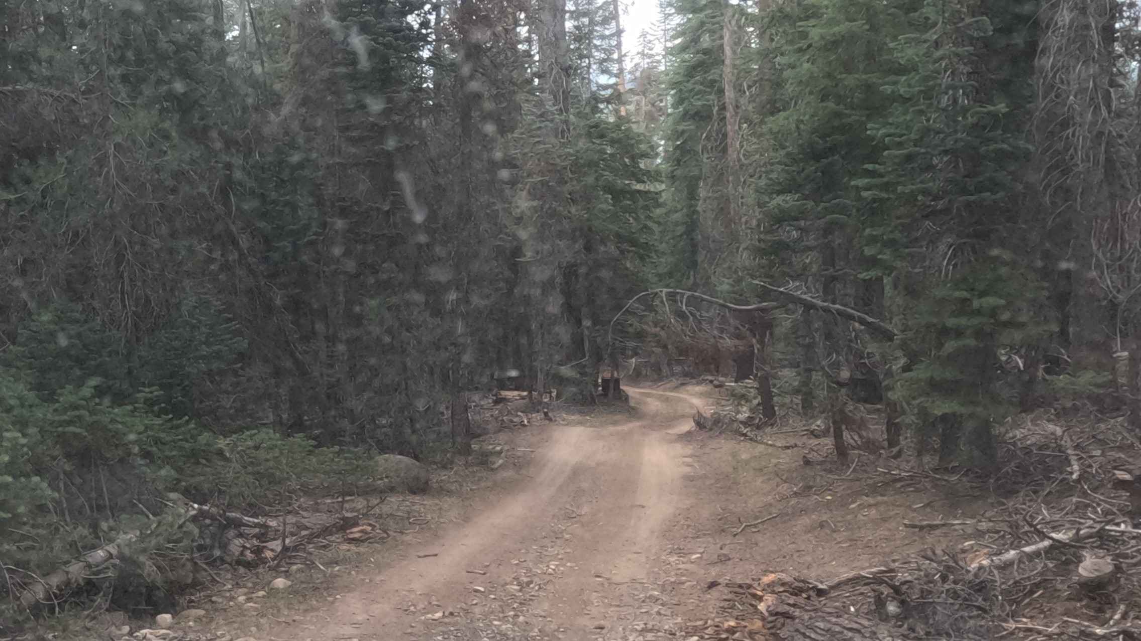 5s007a - Beasore - A Spur