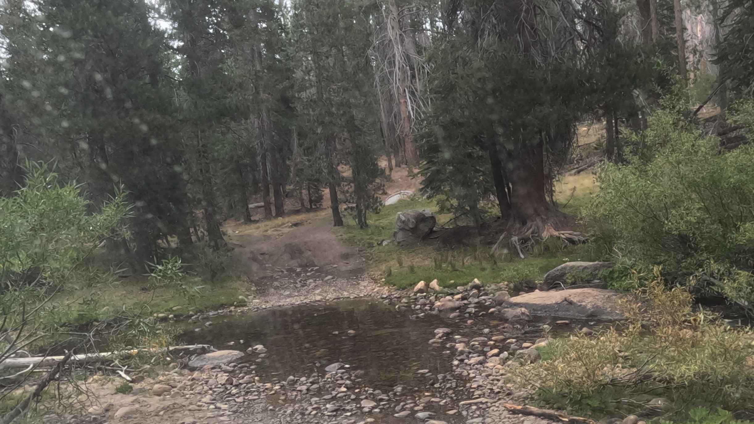 5s007a - Beasore - A Spur