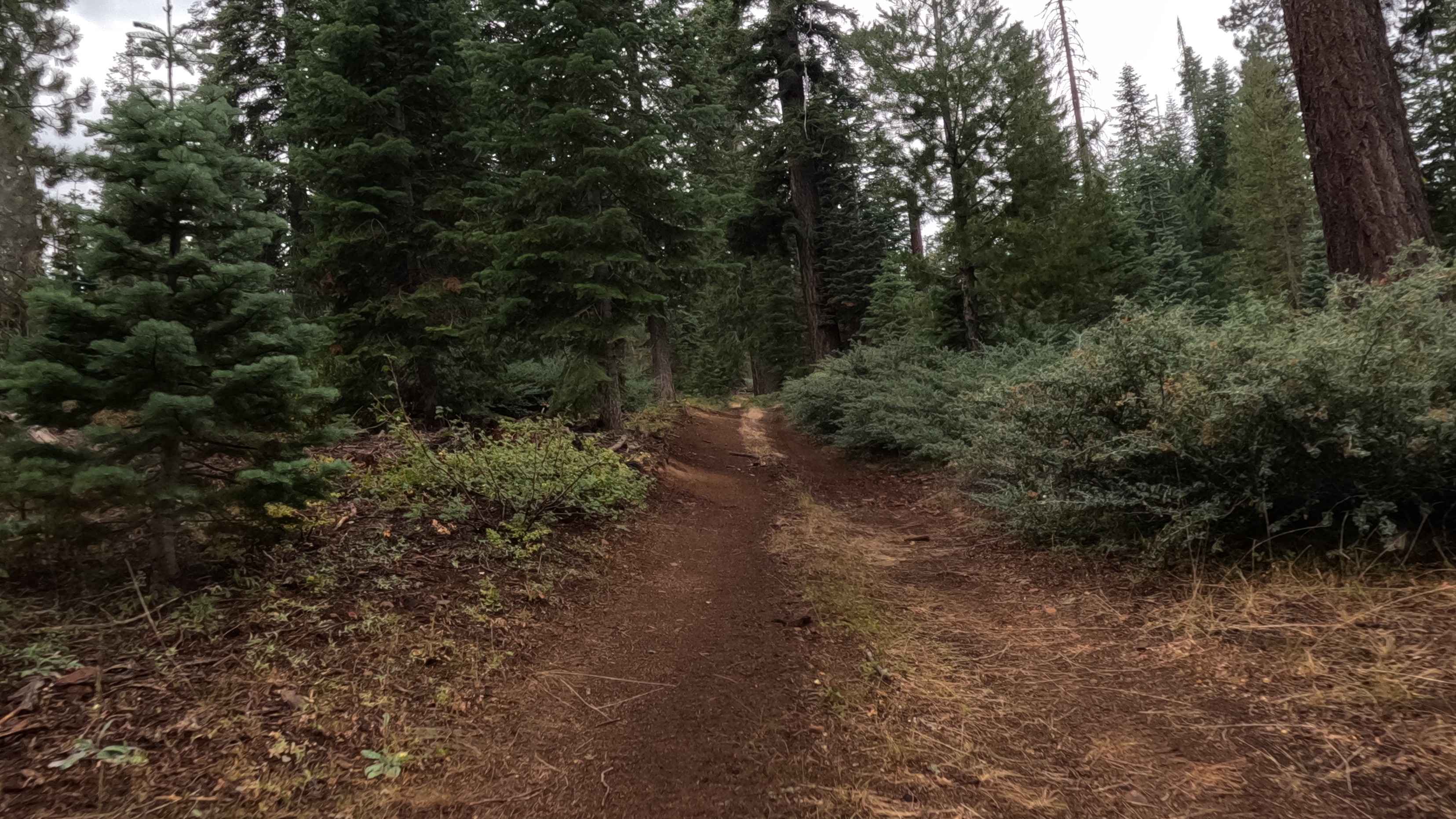 Minarets No 80 YA Spur - FS 5S012YA