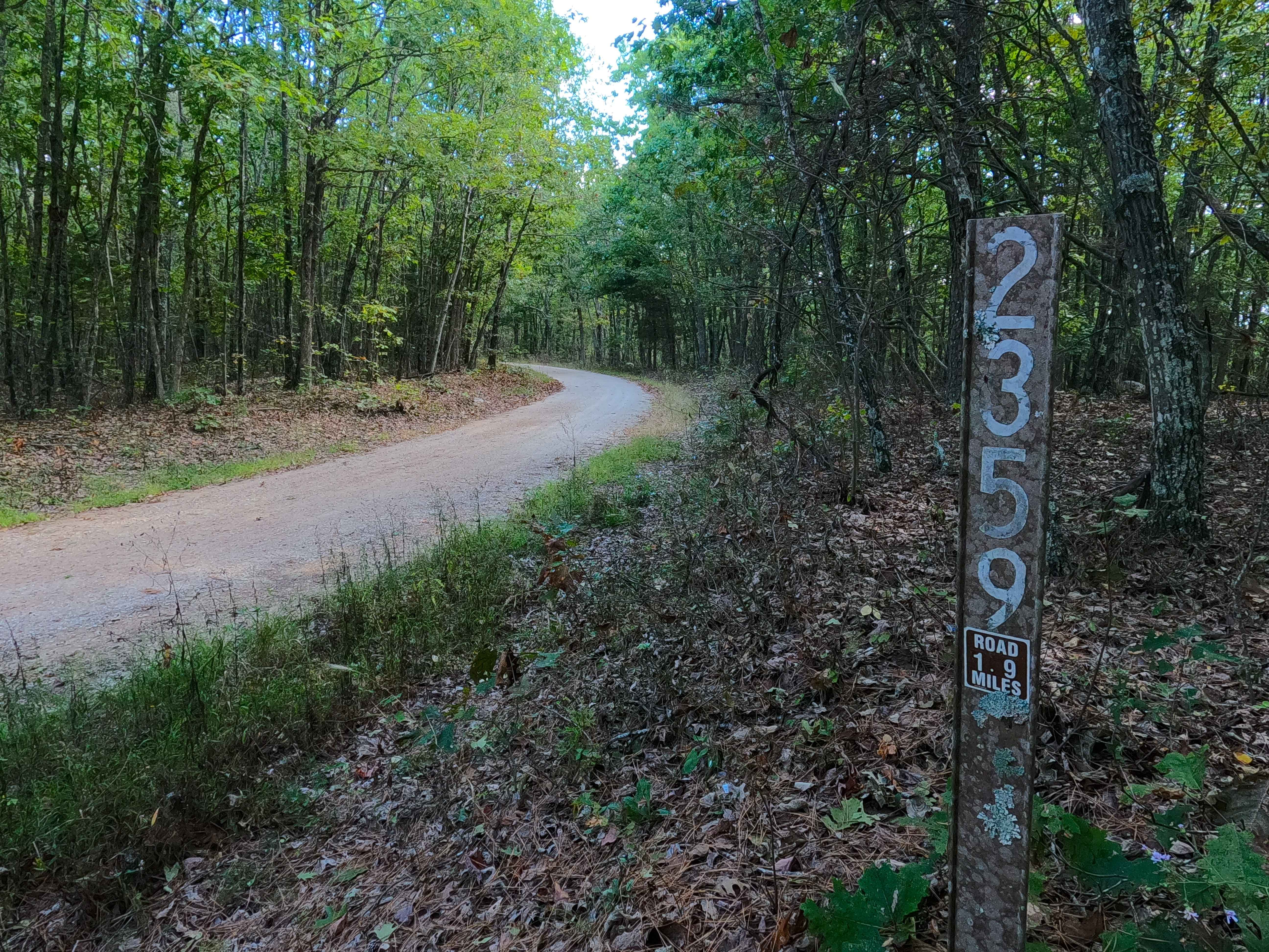 Lindsey Mountain - FS 2359