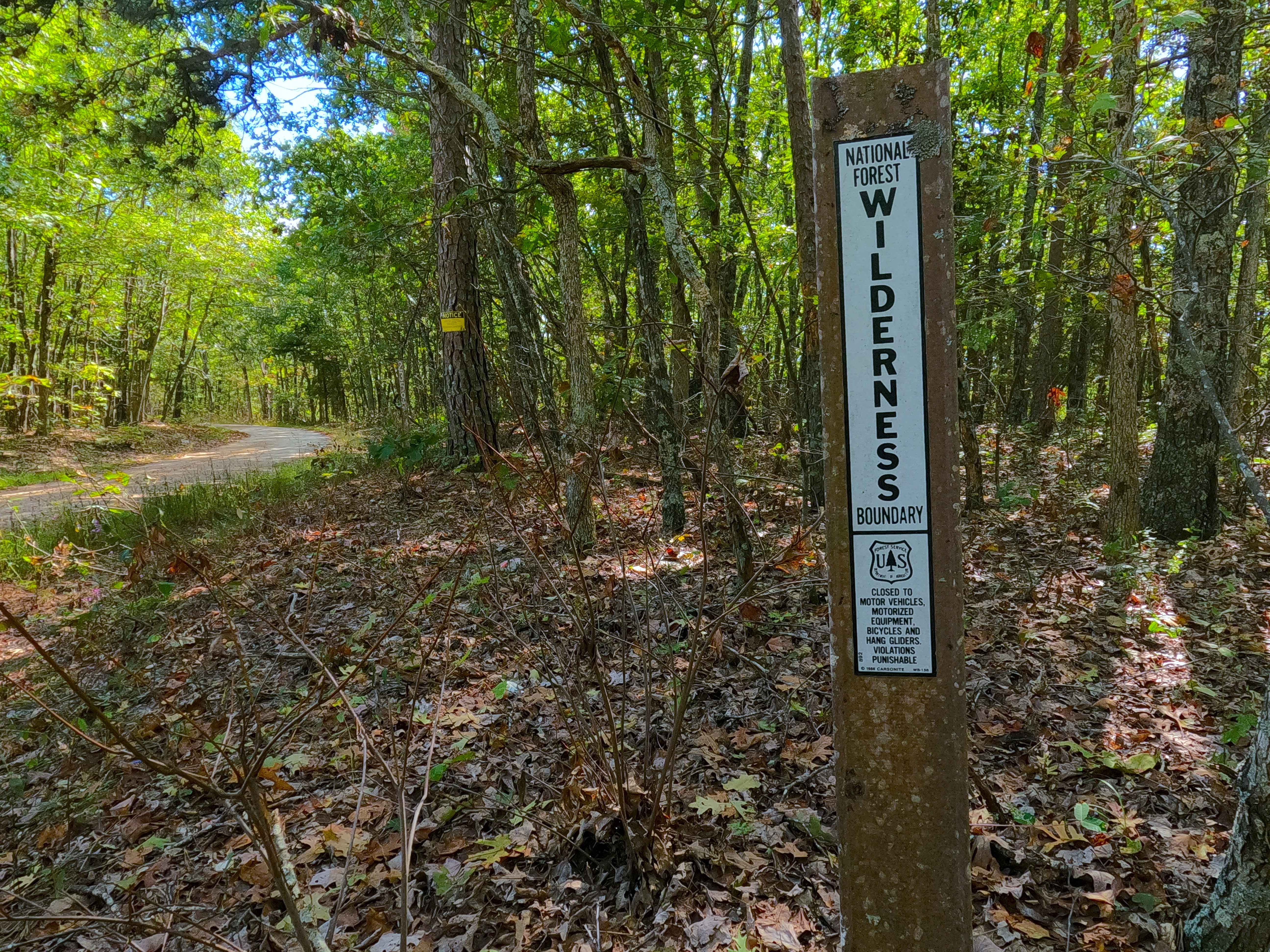 Lindsey Mountain - FS 2359