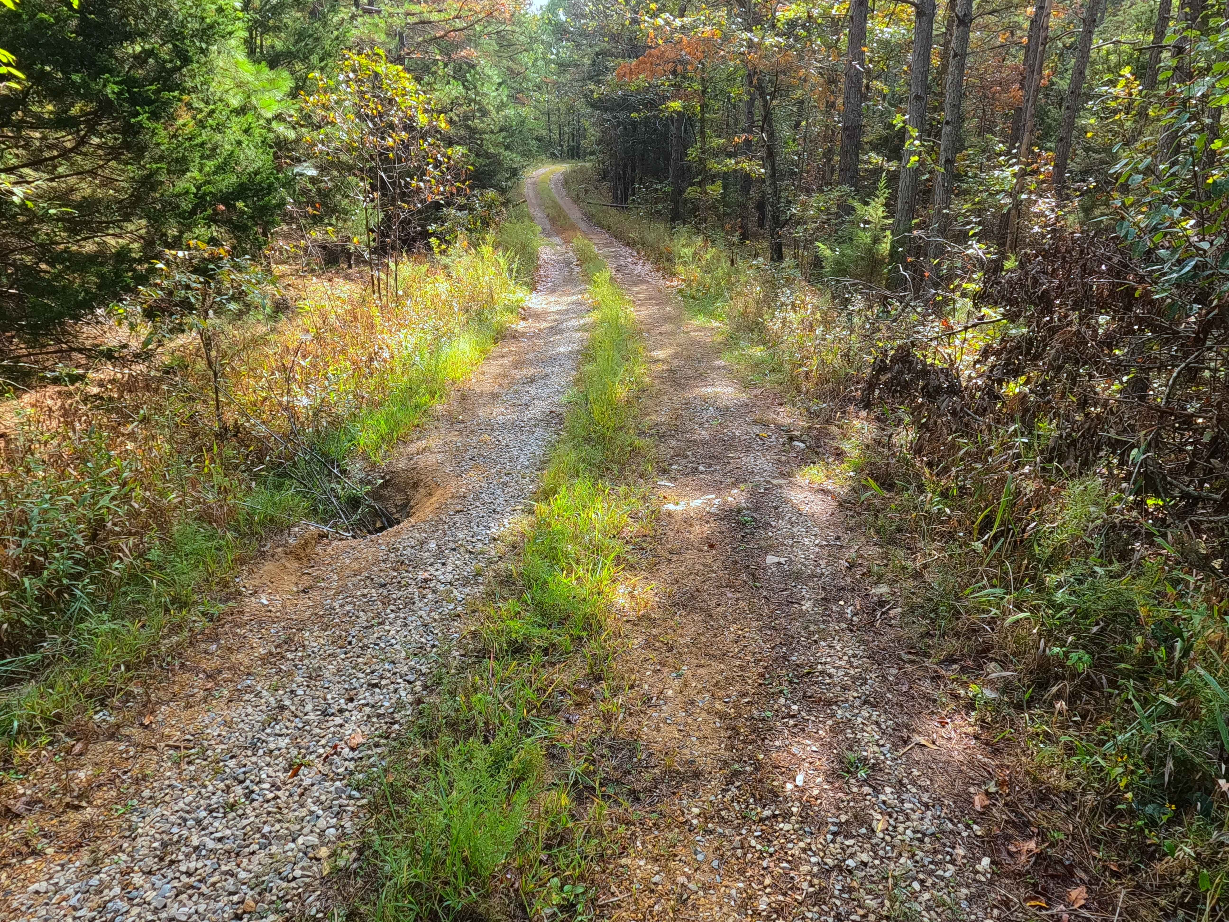 Womble Hollow - FS 2481