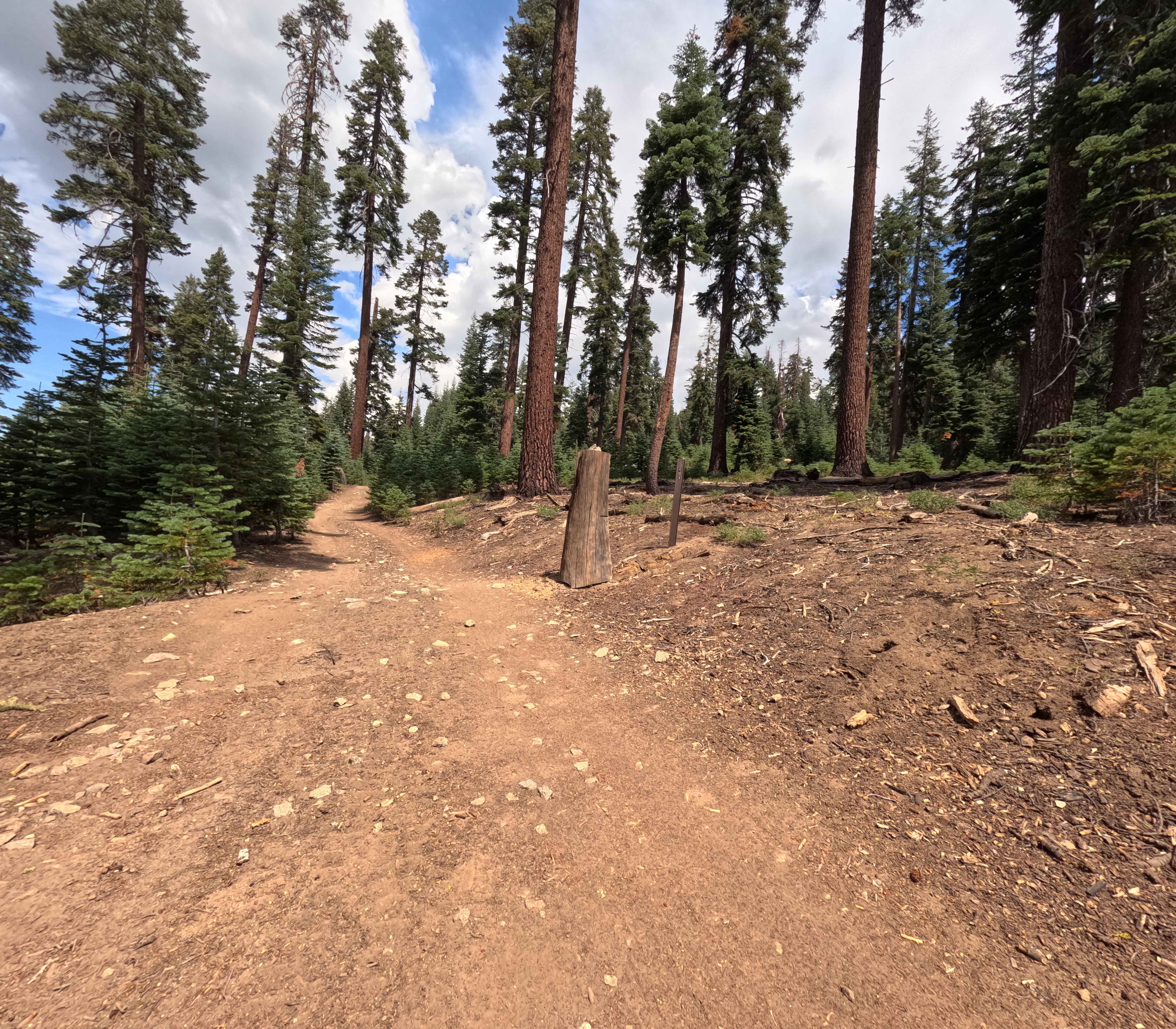 Prospect Mine - FS 5S040X