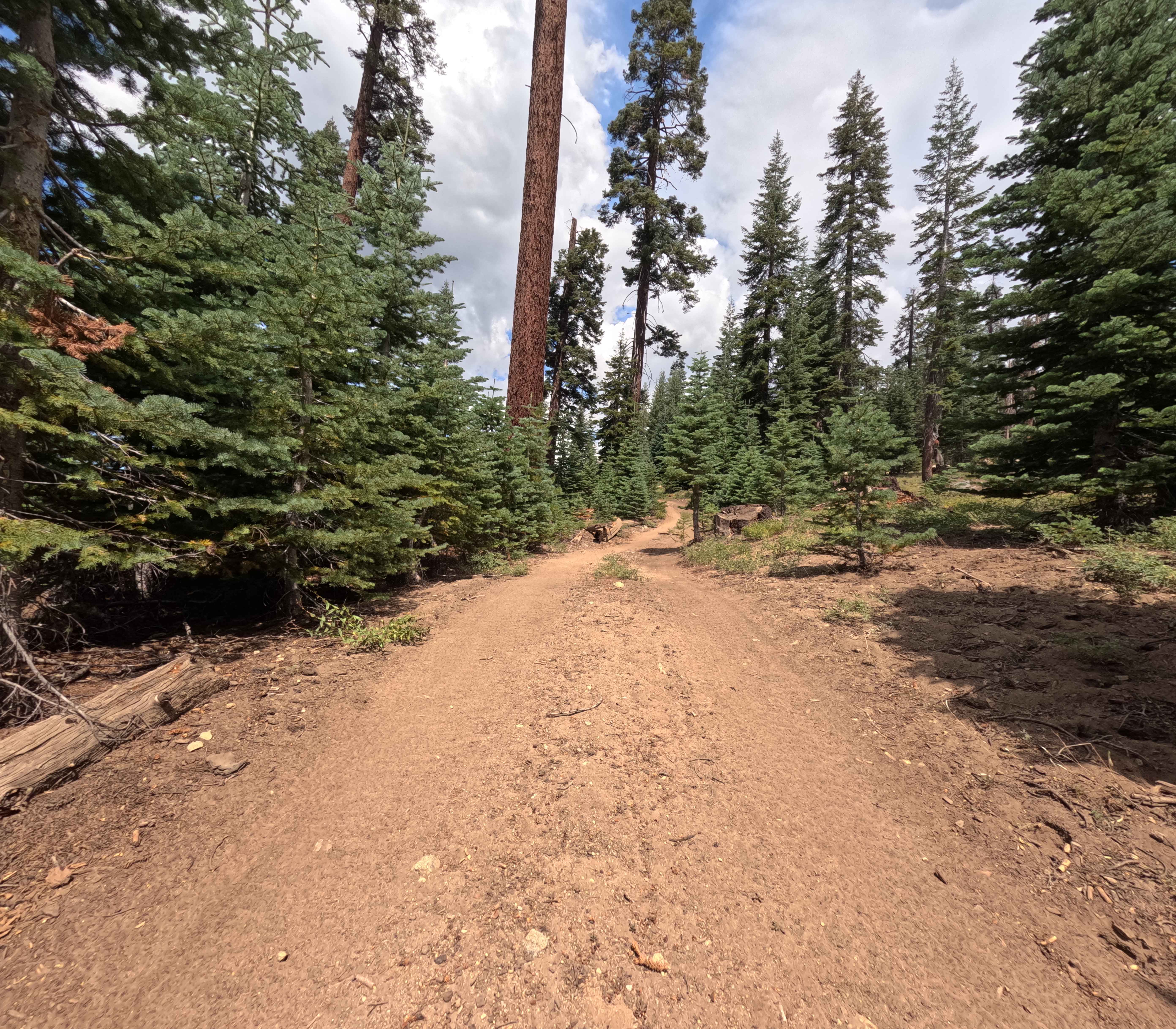 Prospect Mine - FS 5S040X