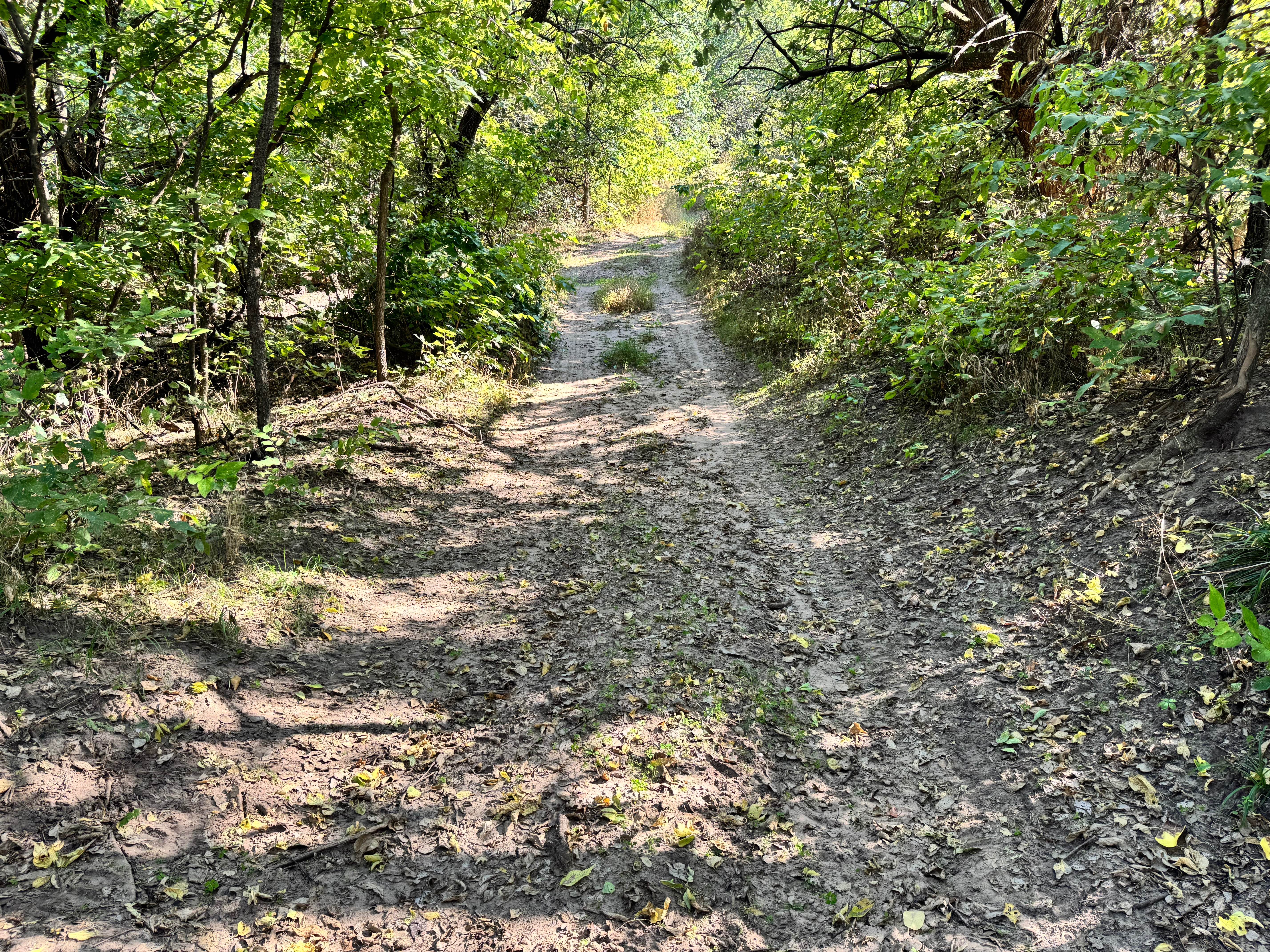 Intercooler Junction