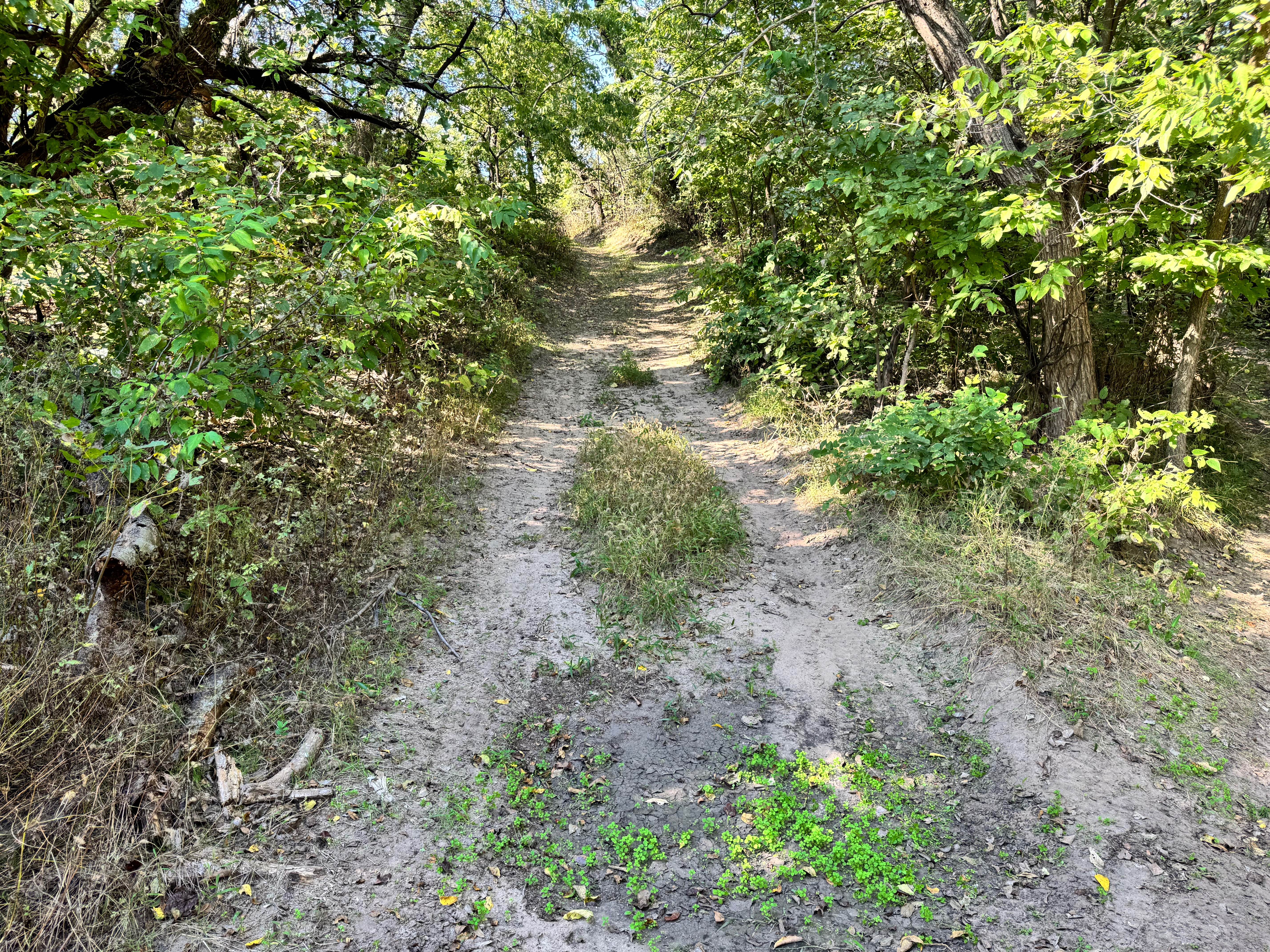 Intercooler Junction