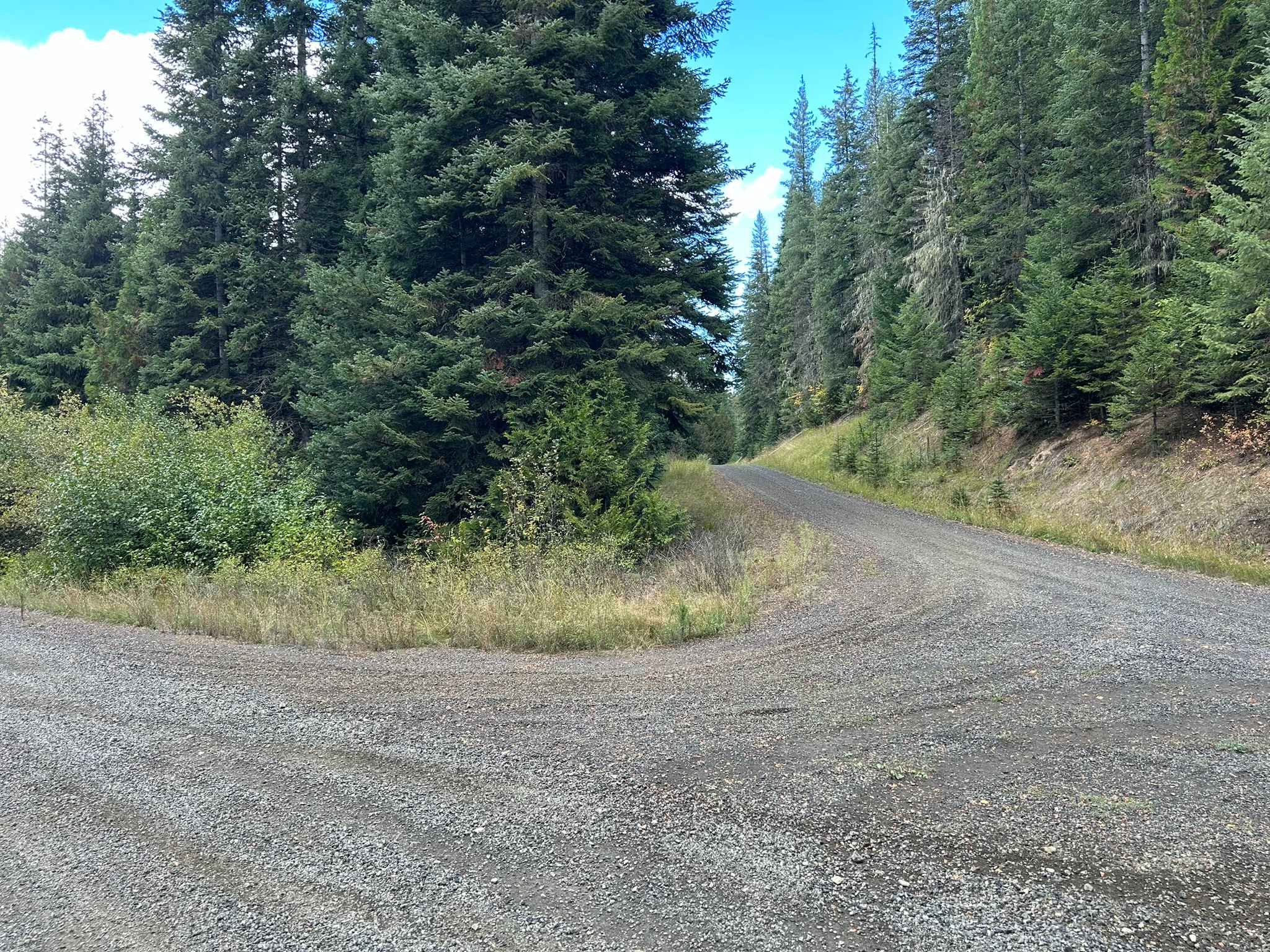 Palouse Divide West - FS 377