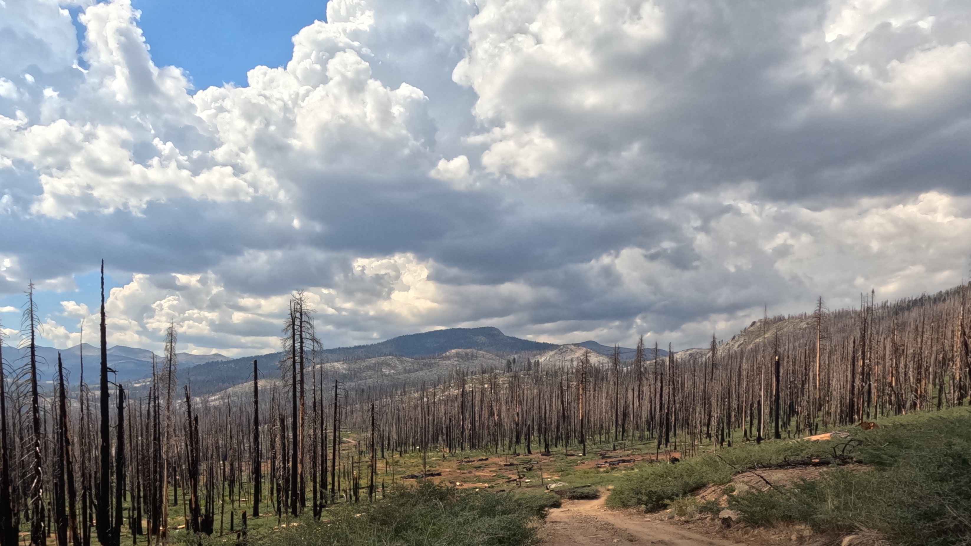 Granite Creek - FS 5S030