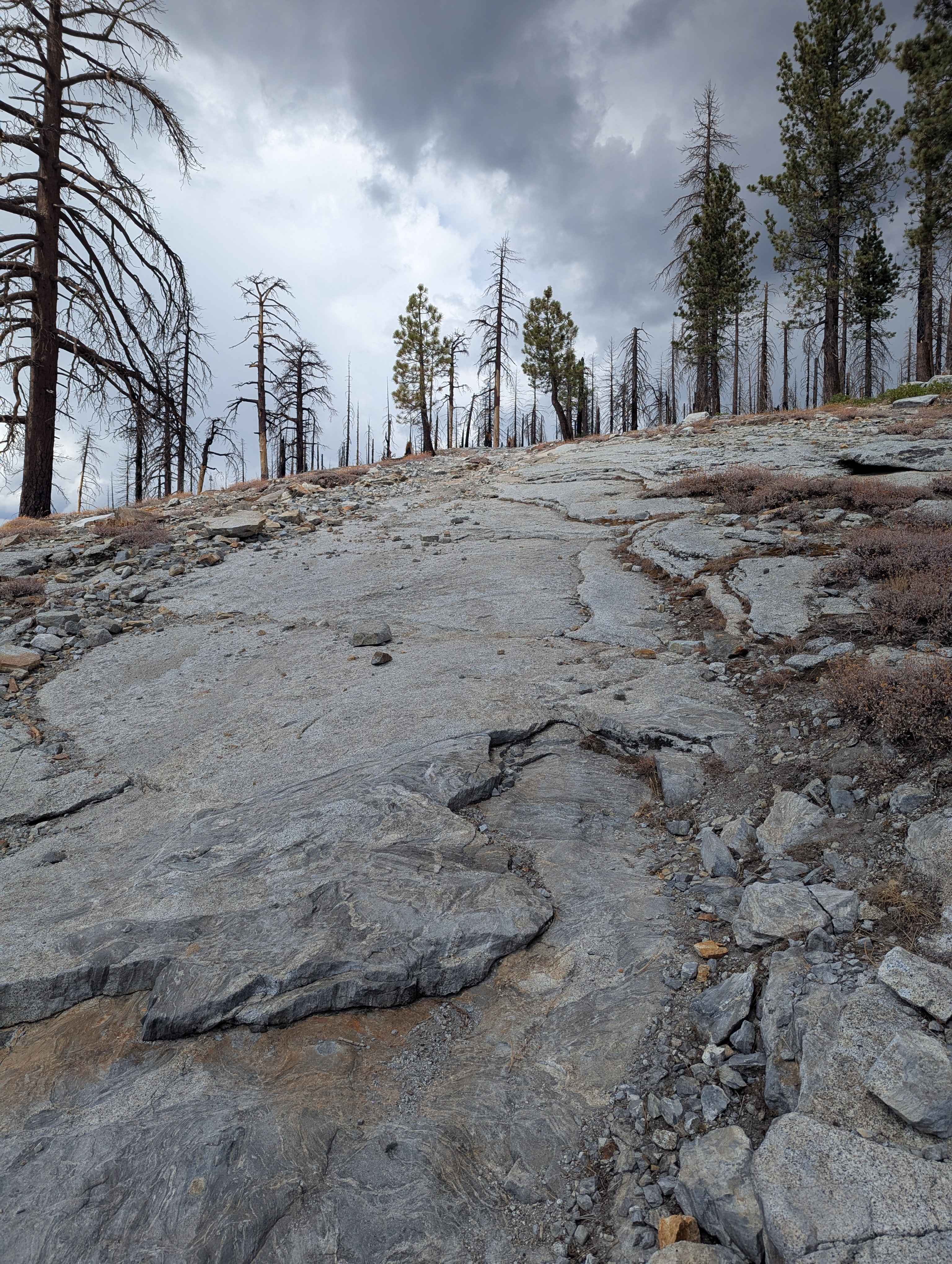 Green Mountain - FS 25E206