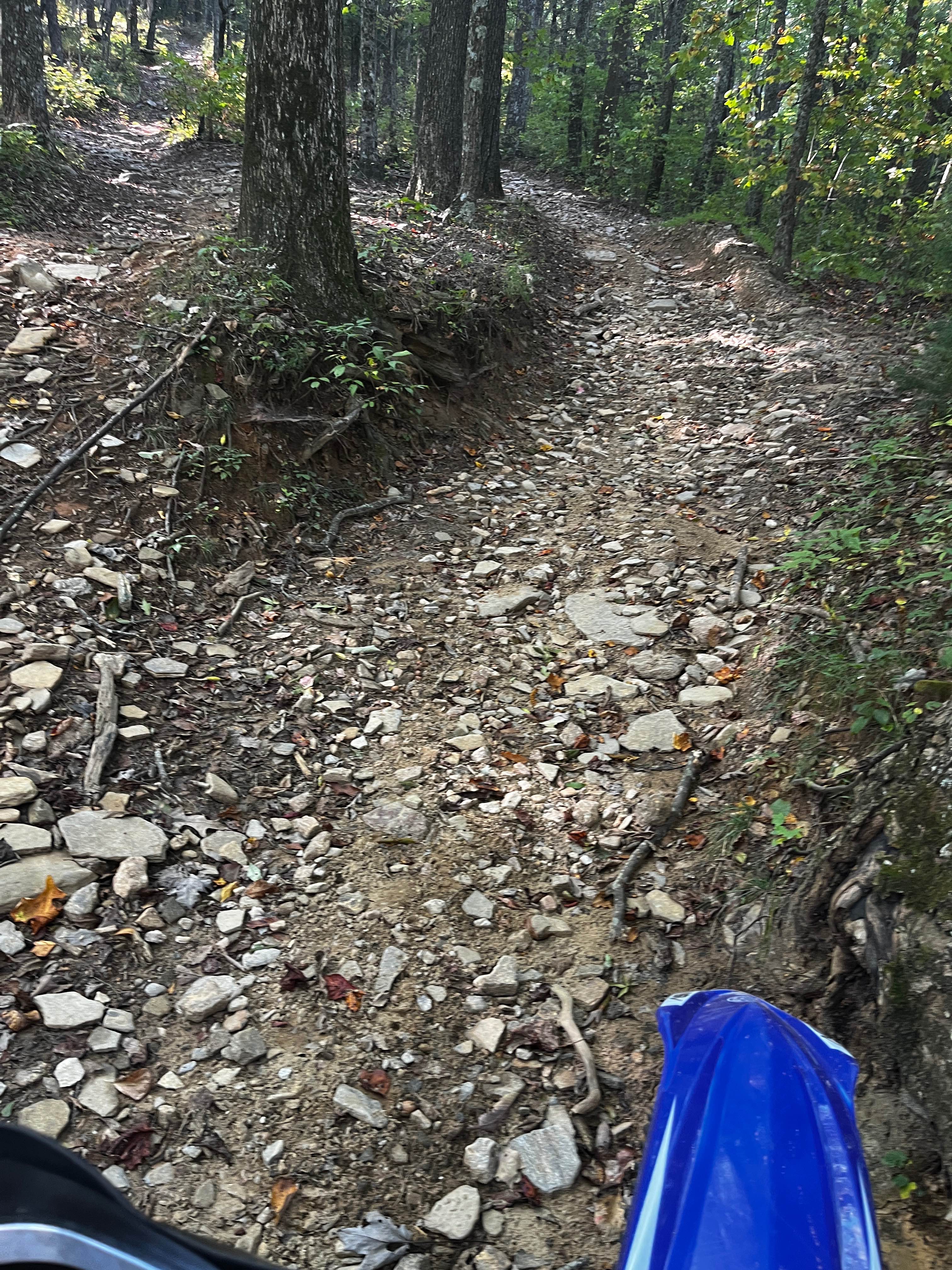 Moates Knob - Oakey Mountain OHV