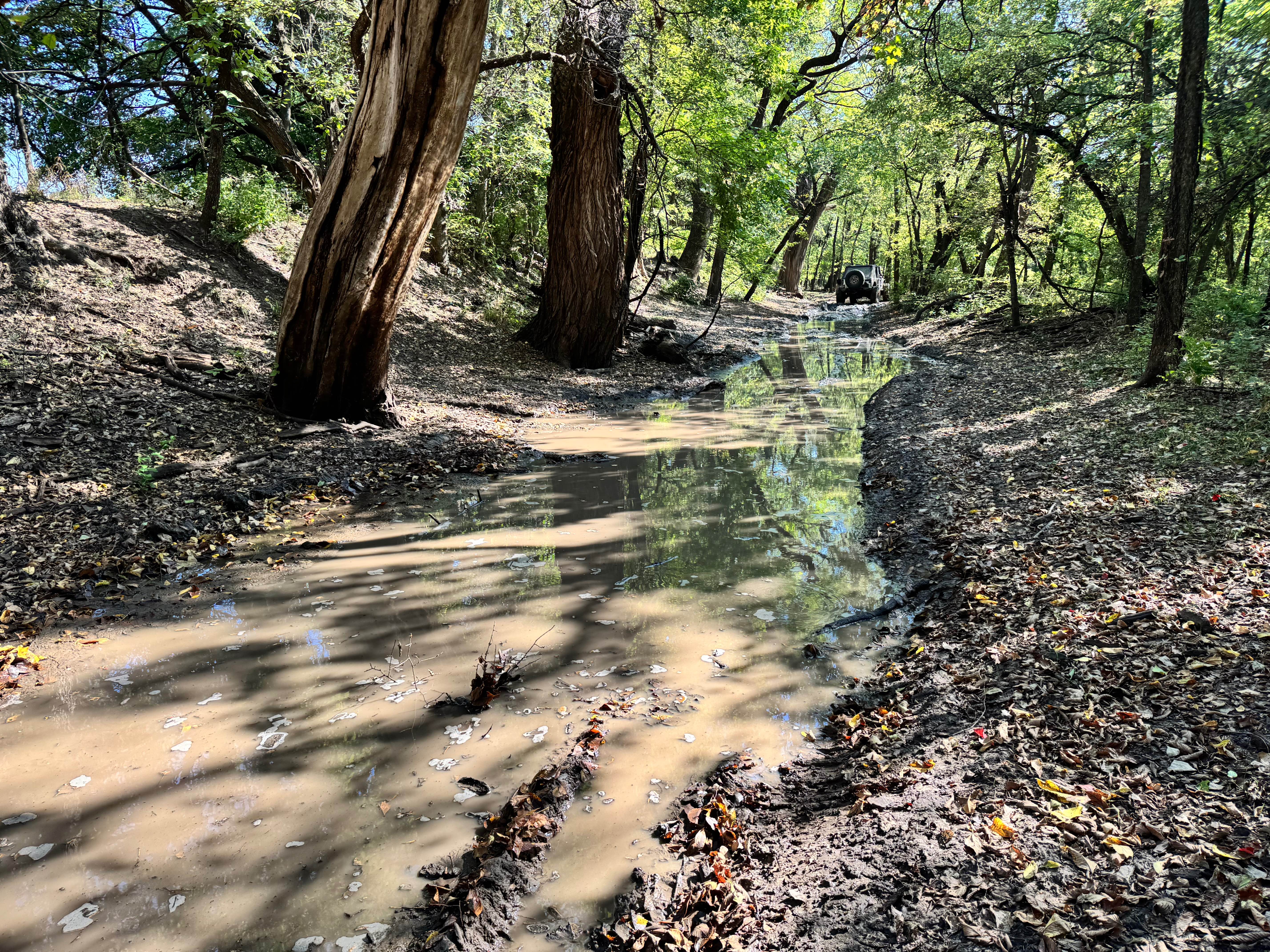 Champlin's Challenge