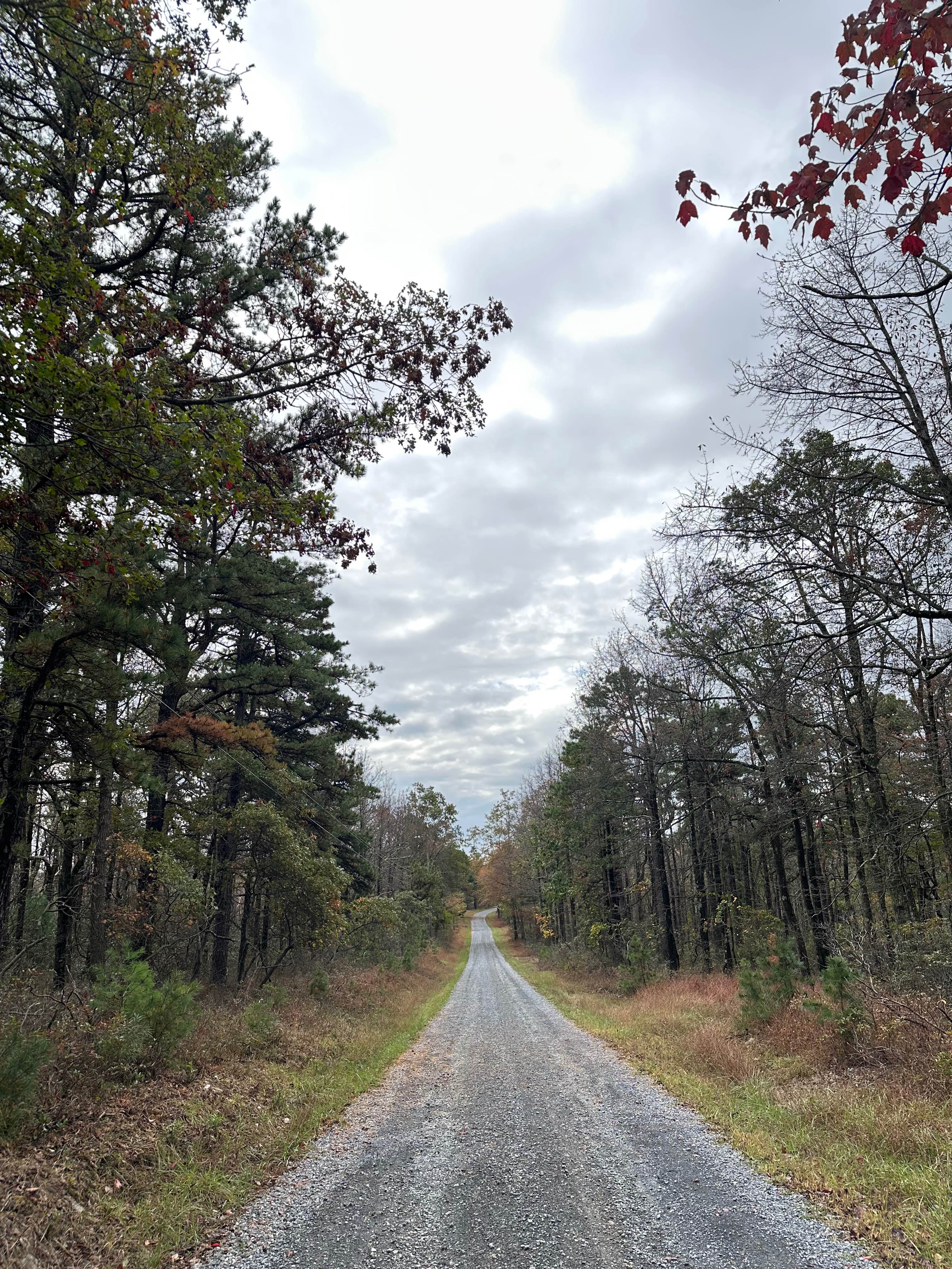 Ridge Road Extension